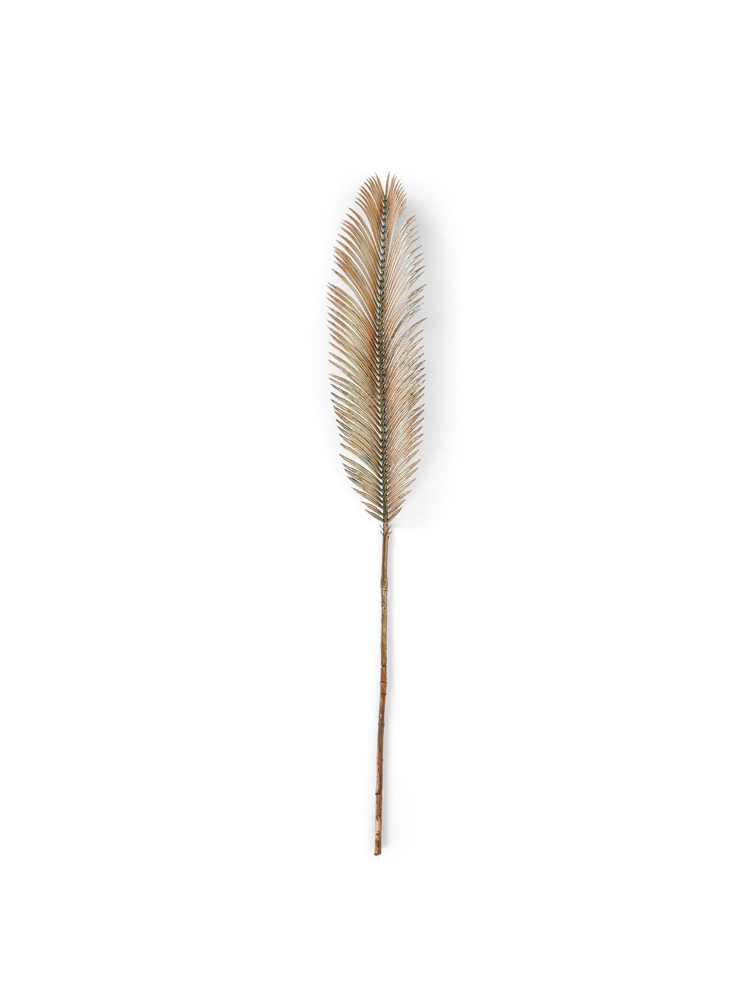 Branch of cycas leaf, Gold, large image number 0