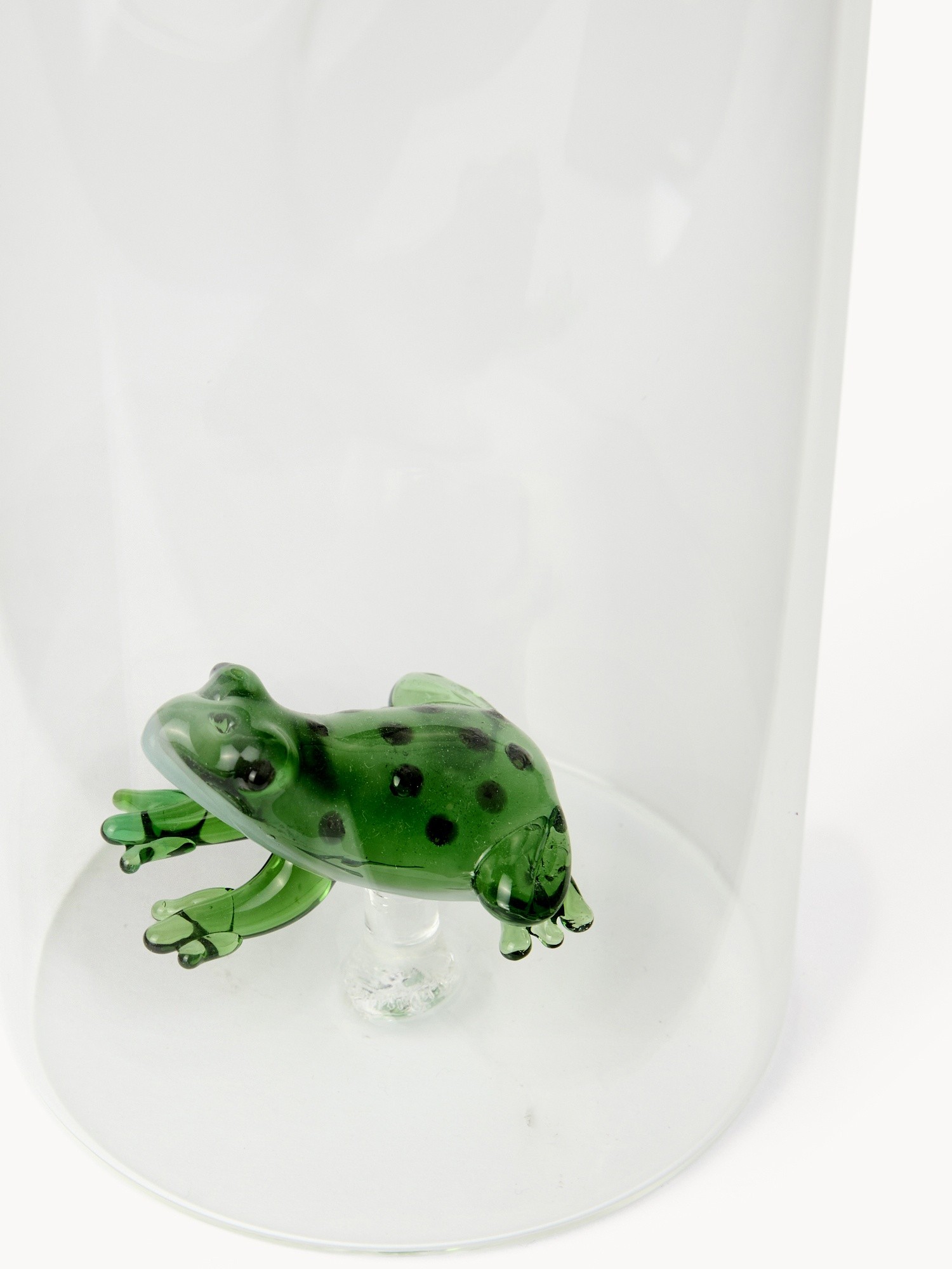 , Transparent, large image number 1