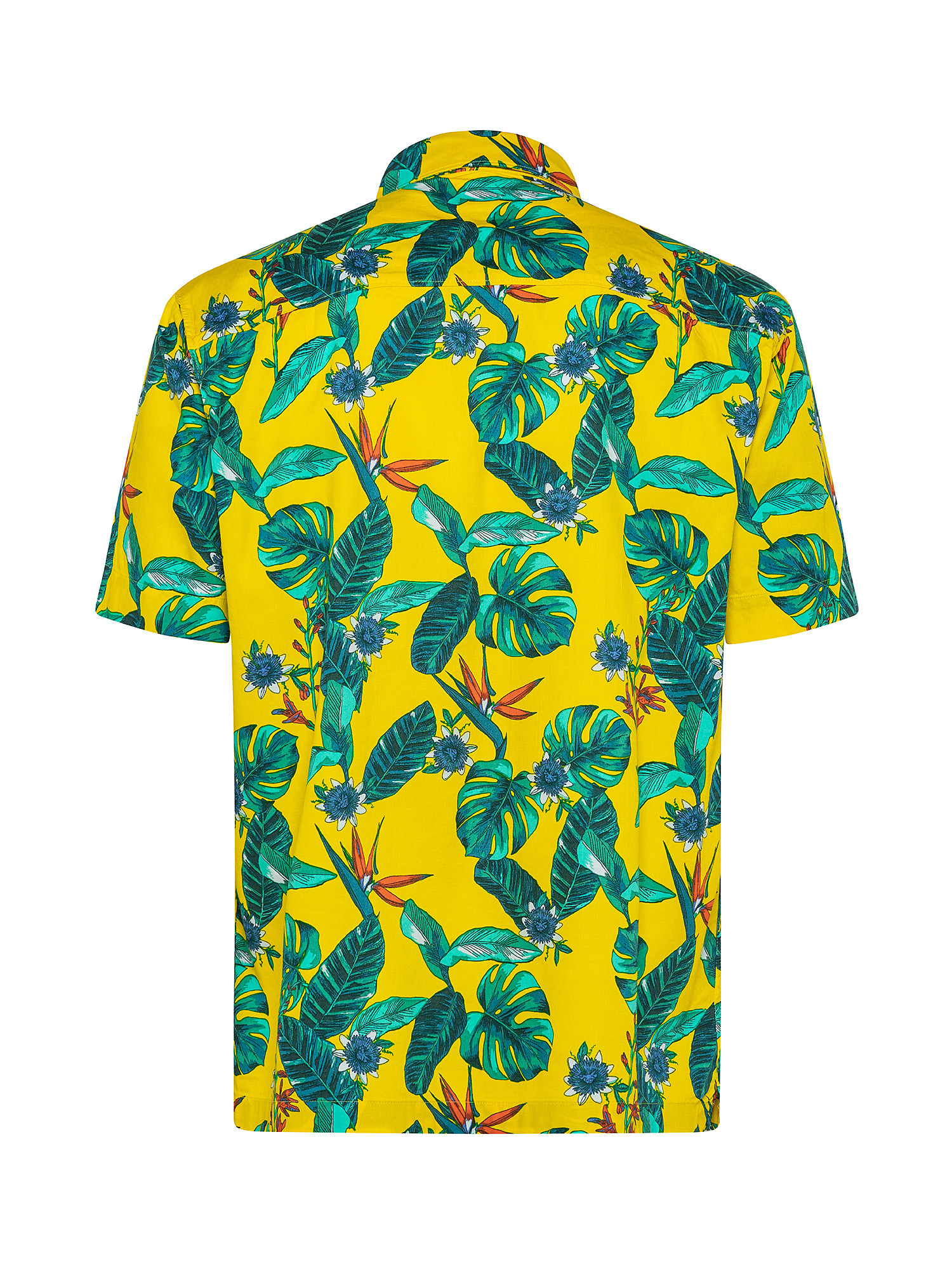 Camicia con motivo hawaiano, Giallo, large
