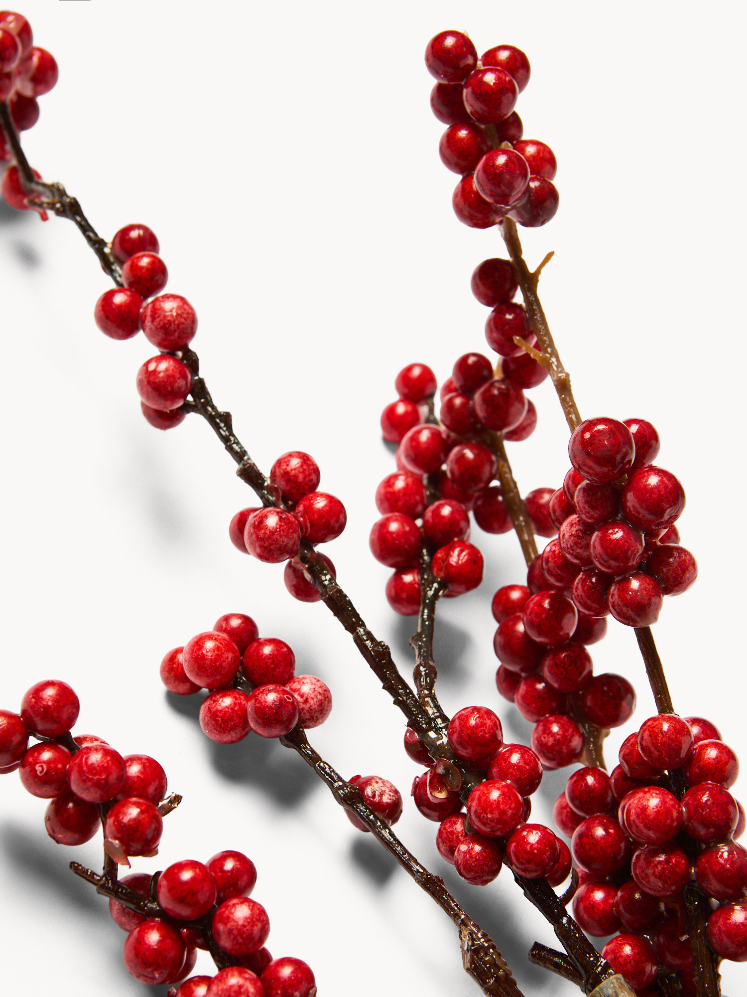 Holly branch, Red, large image number 1