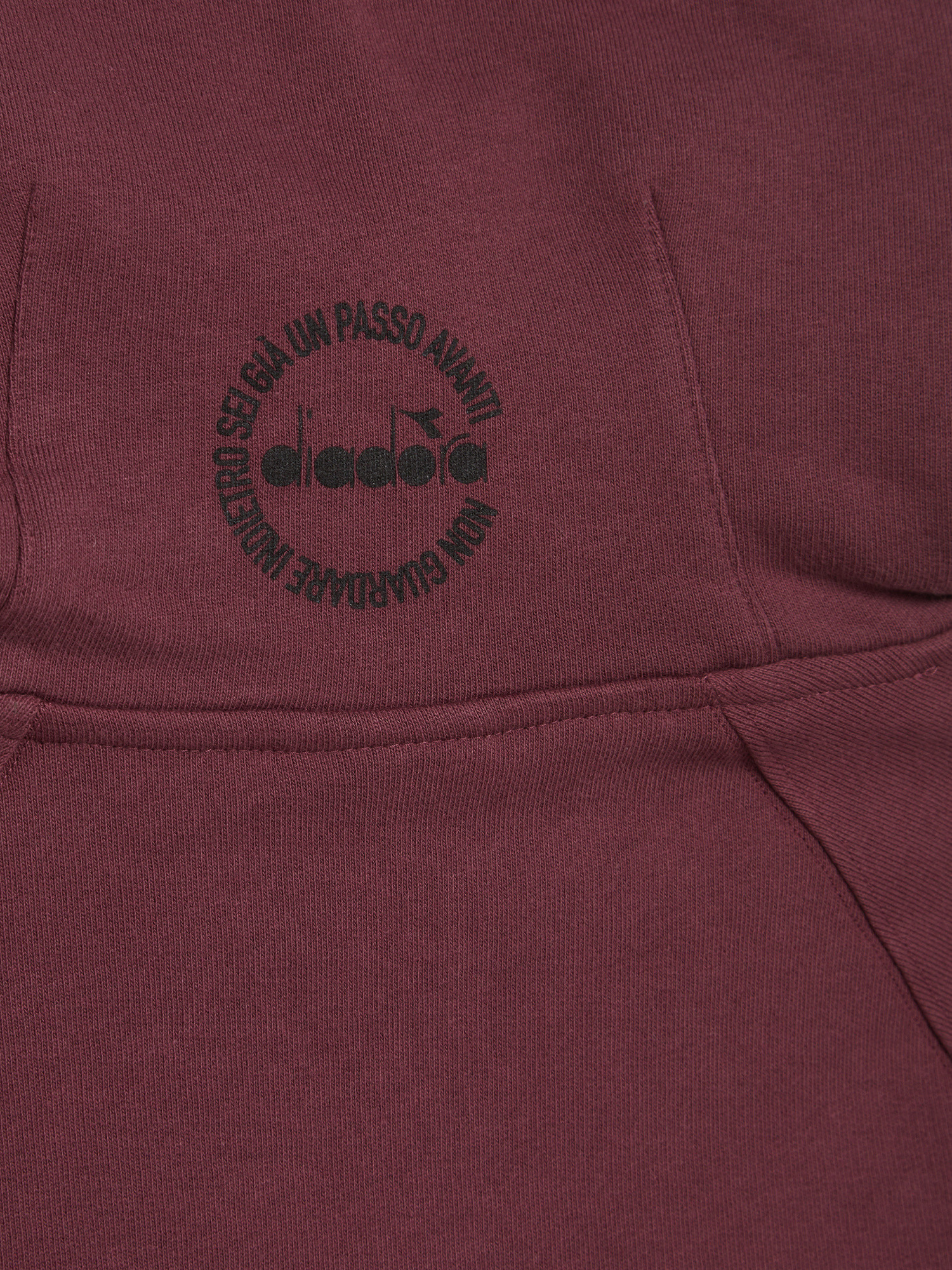 Diadora - Manifesto cotton hoodie, Purple, large image number 1