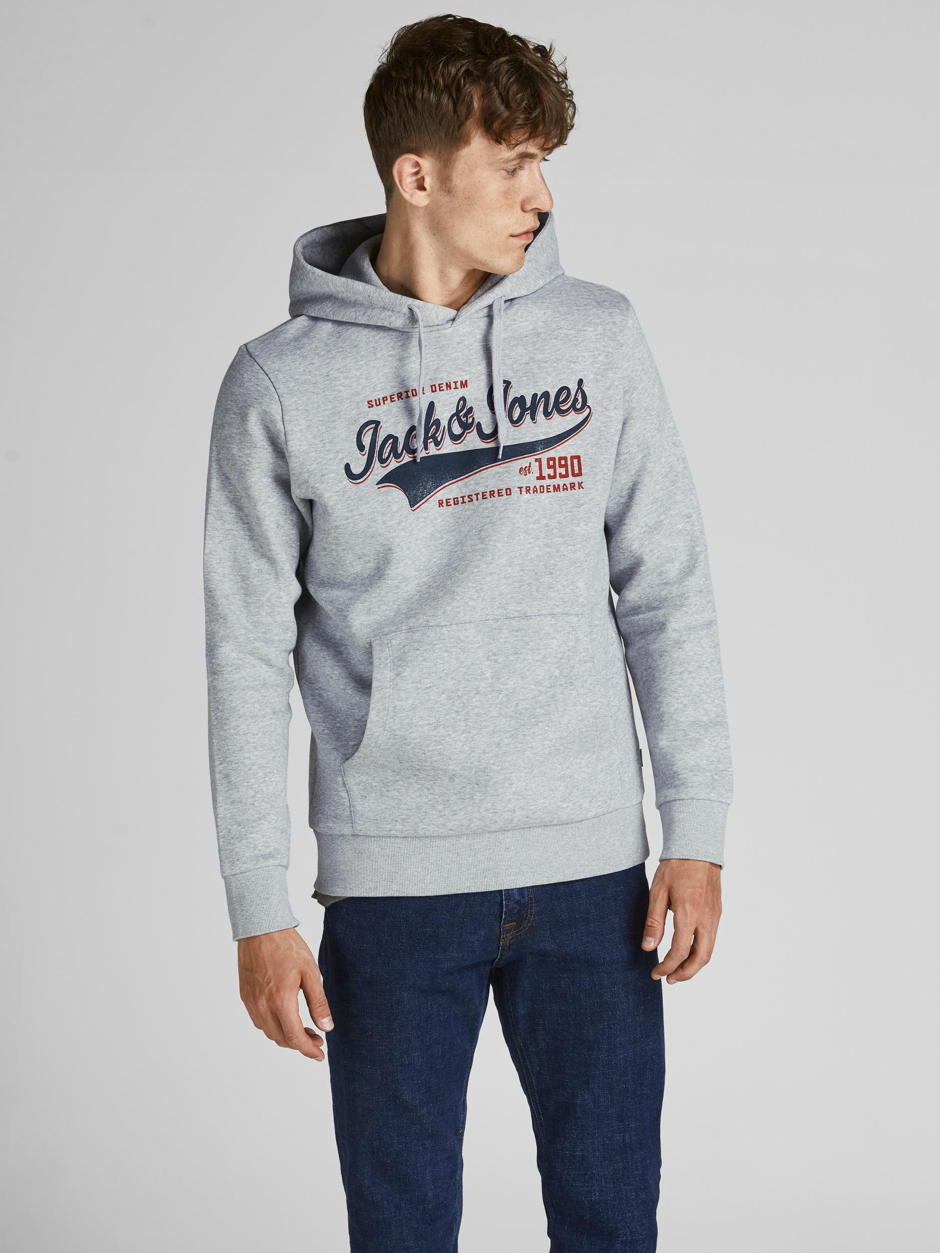Men's hoodie, Grey, large image number 2