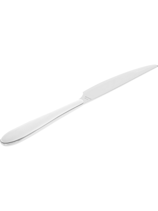 Stainless steel and plastic knife