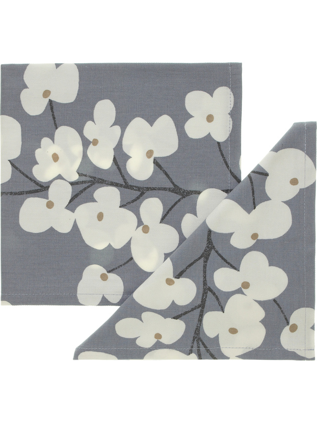 Pair of floral print napkins