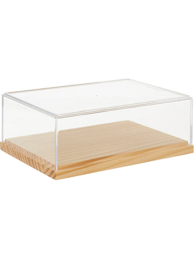 Box in plexiglass and bamboo