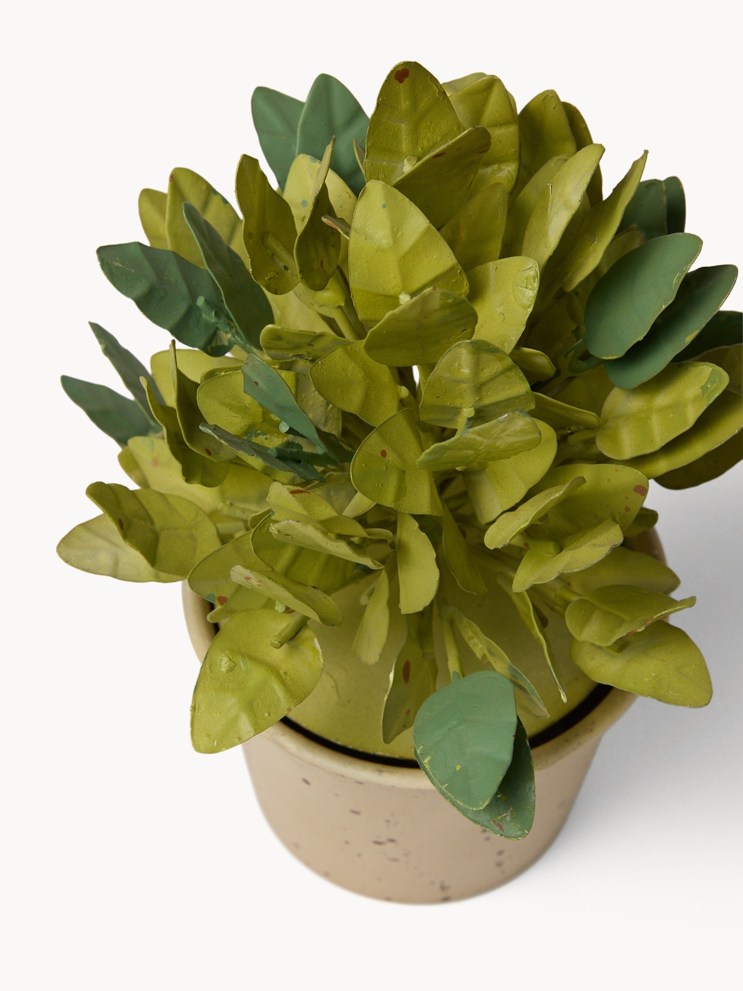 , Verde, large image number 1