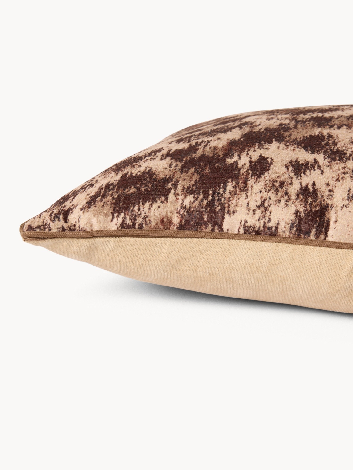 , Animalier, large image number 2