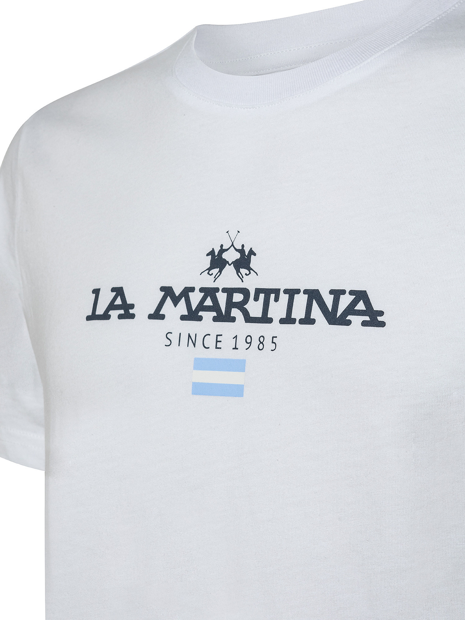 T-shirt da uomo a maniche corte in cotone regular fit, Bianco, large image number 2