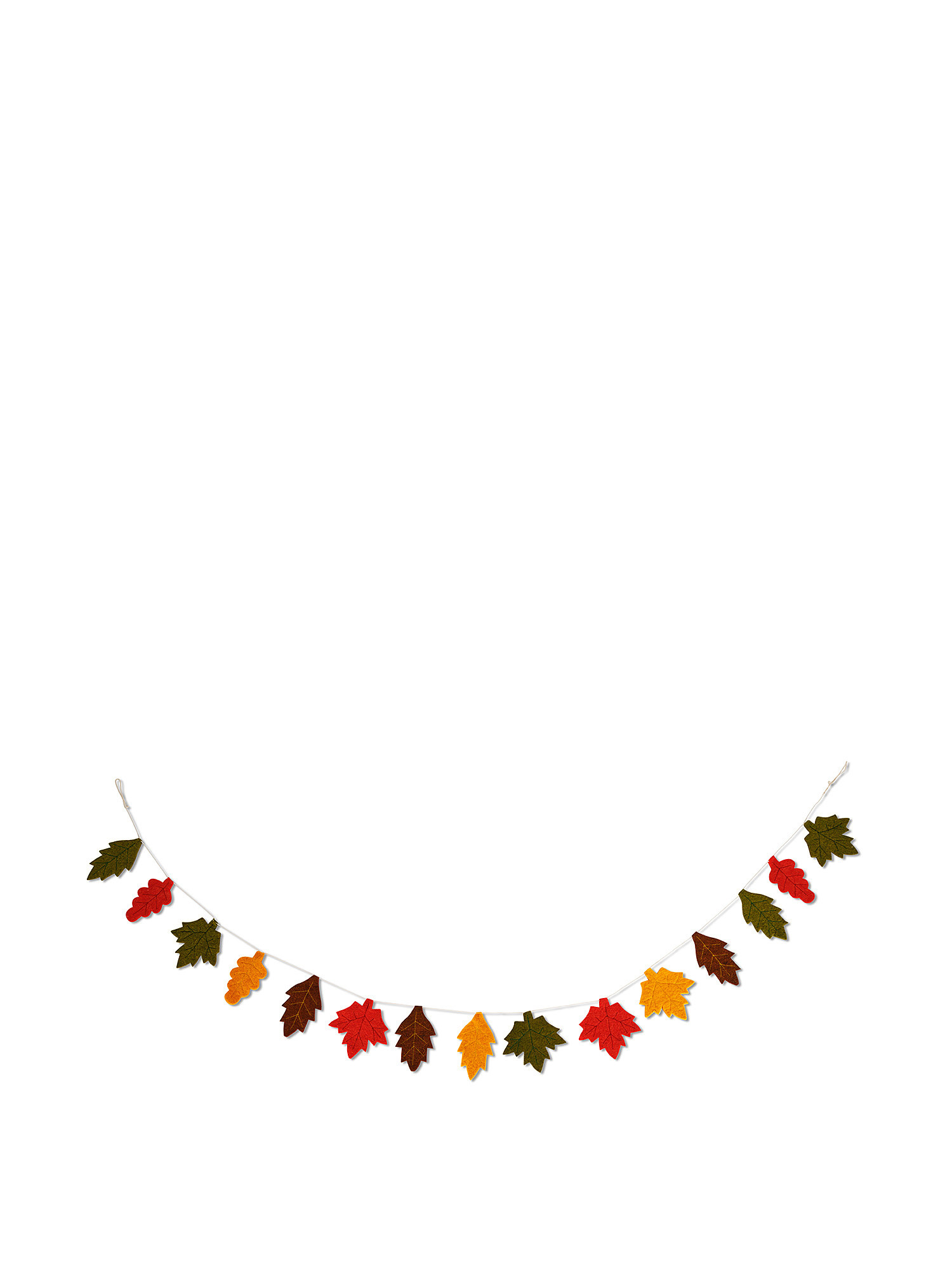 Ghirlanda decorativa foglie in feltro, Multicolor, large image number 0