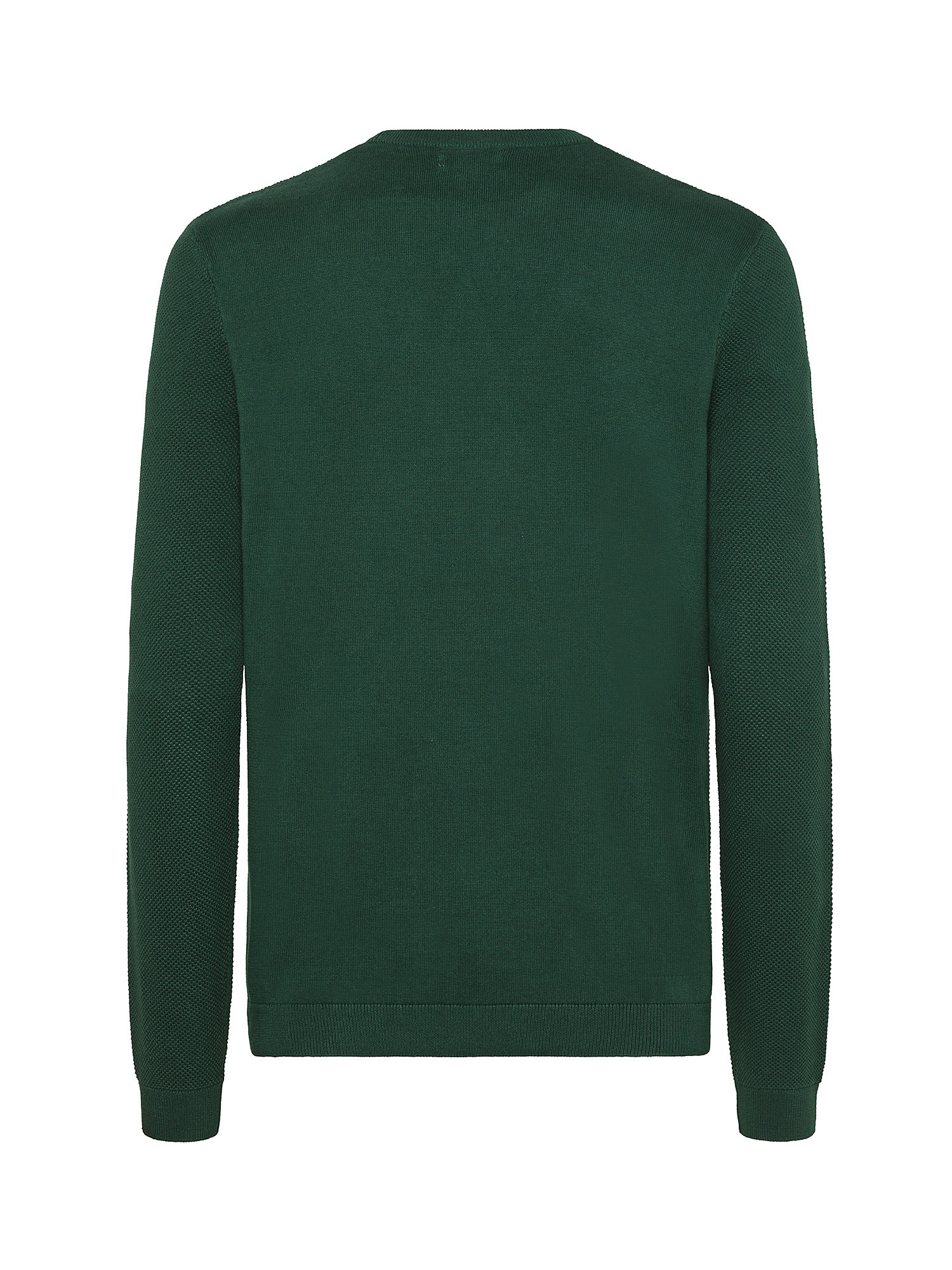 Luca D'Altieri - Crew neck sweater in pure cotton, Dark Green, large image number 1