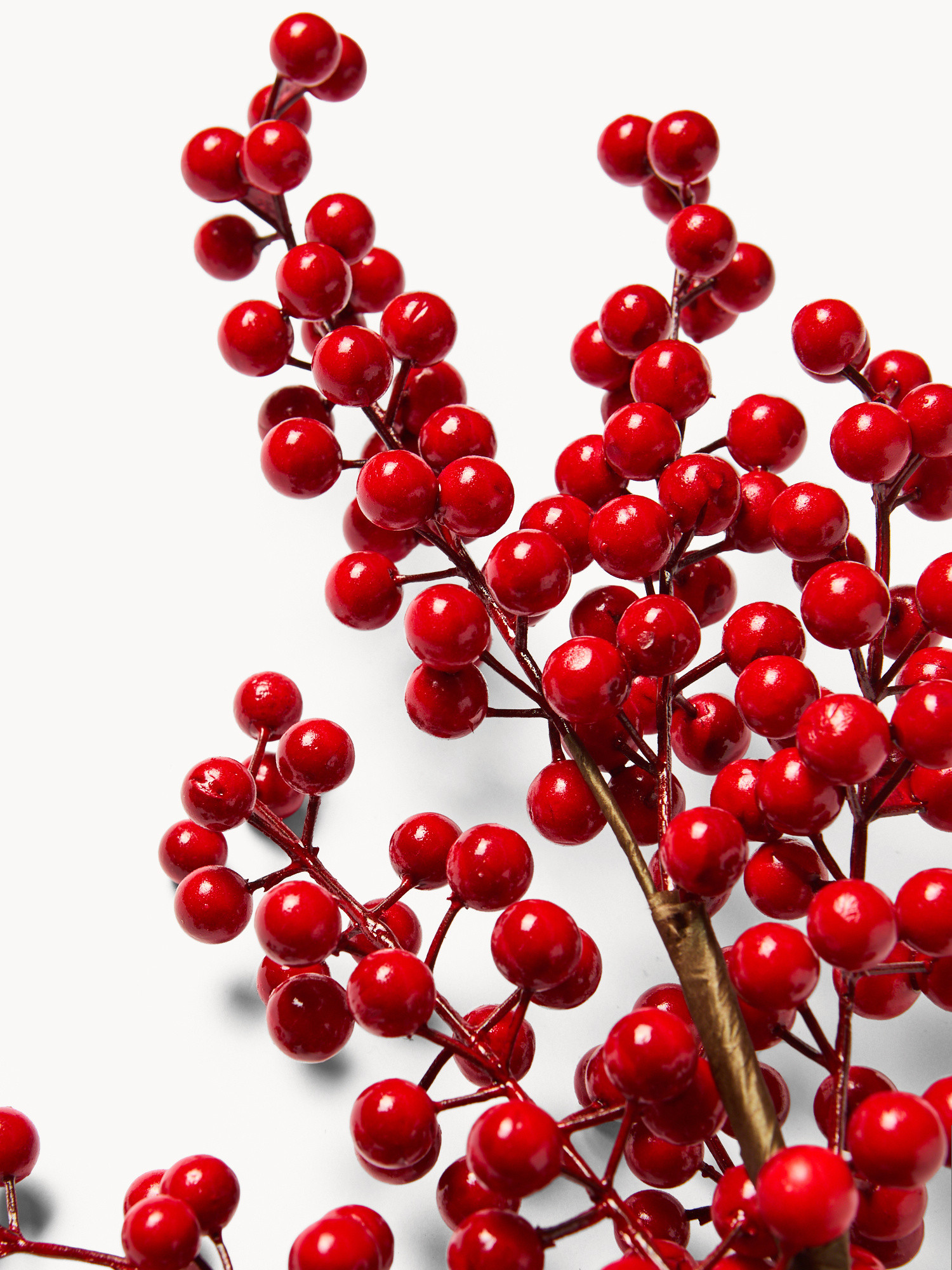 Holly branch, Red, large image number 1