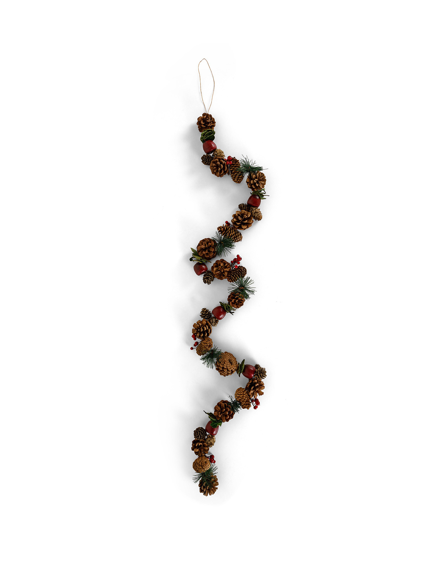 Garland of pine cones and fruit, Brown, large image number 0
