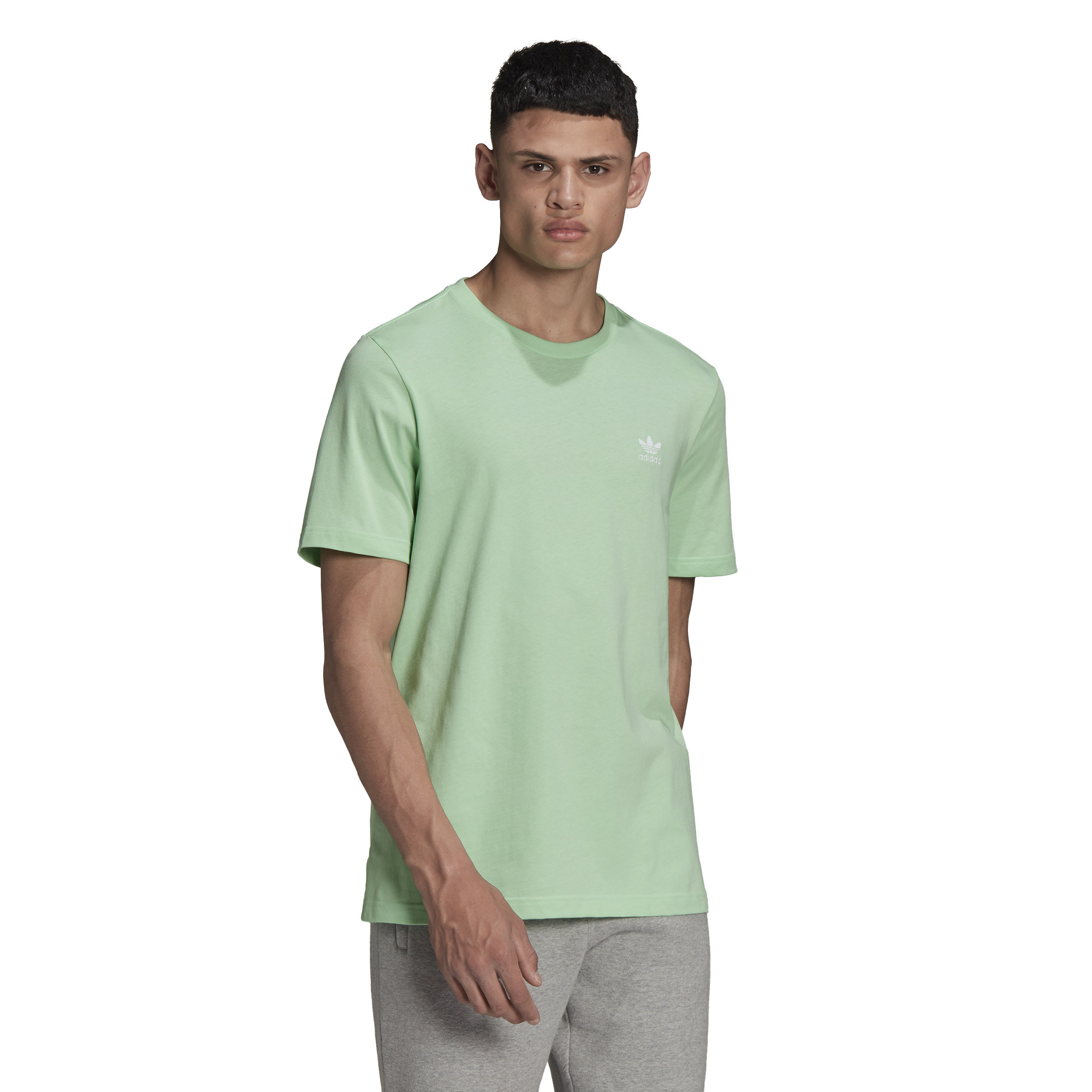 Adidas - T-shirt adicolor con logo, Verde chiaro, large image number 1