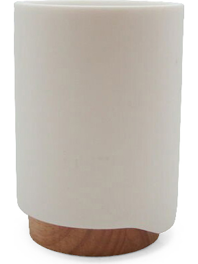 Design toothbrush holder with bamboo detail