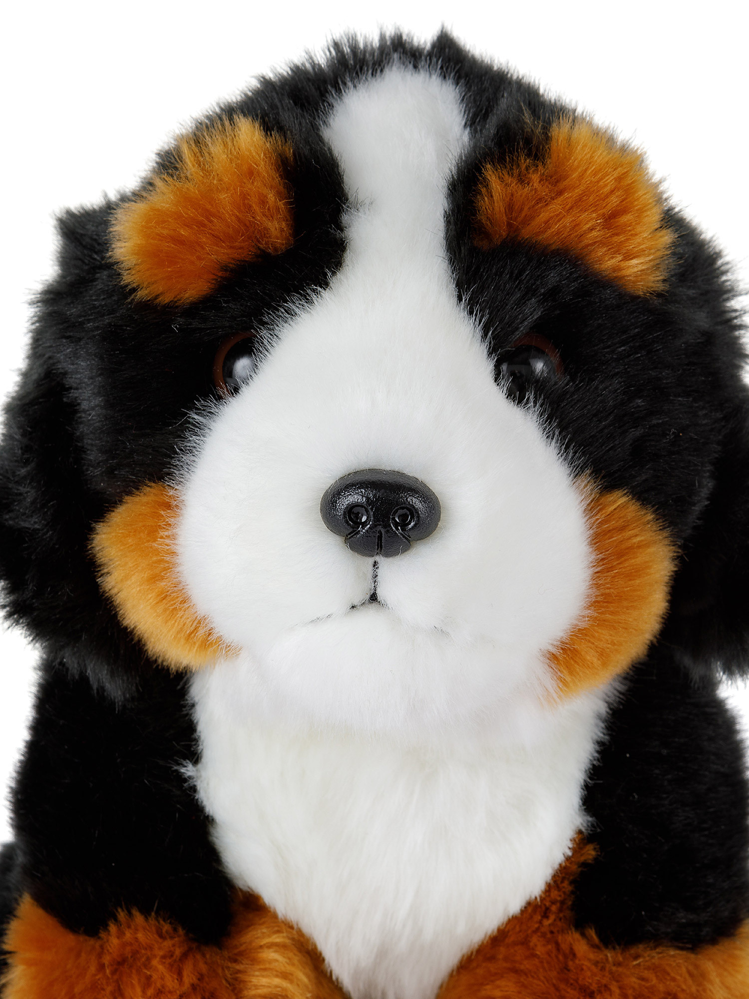 Bernese dog plush, Black, large image number 1