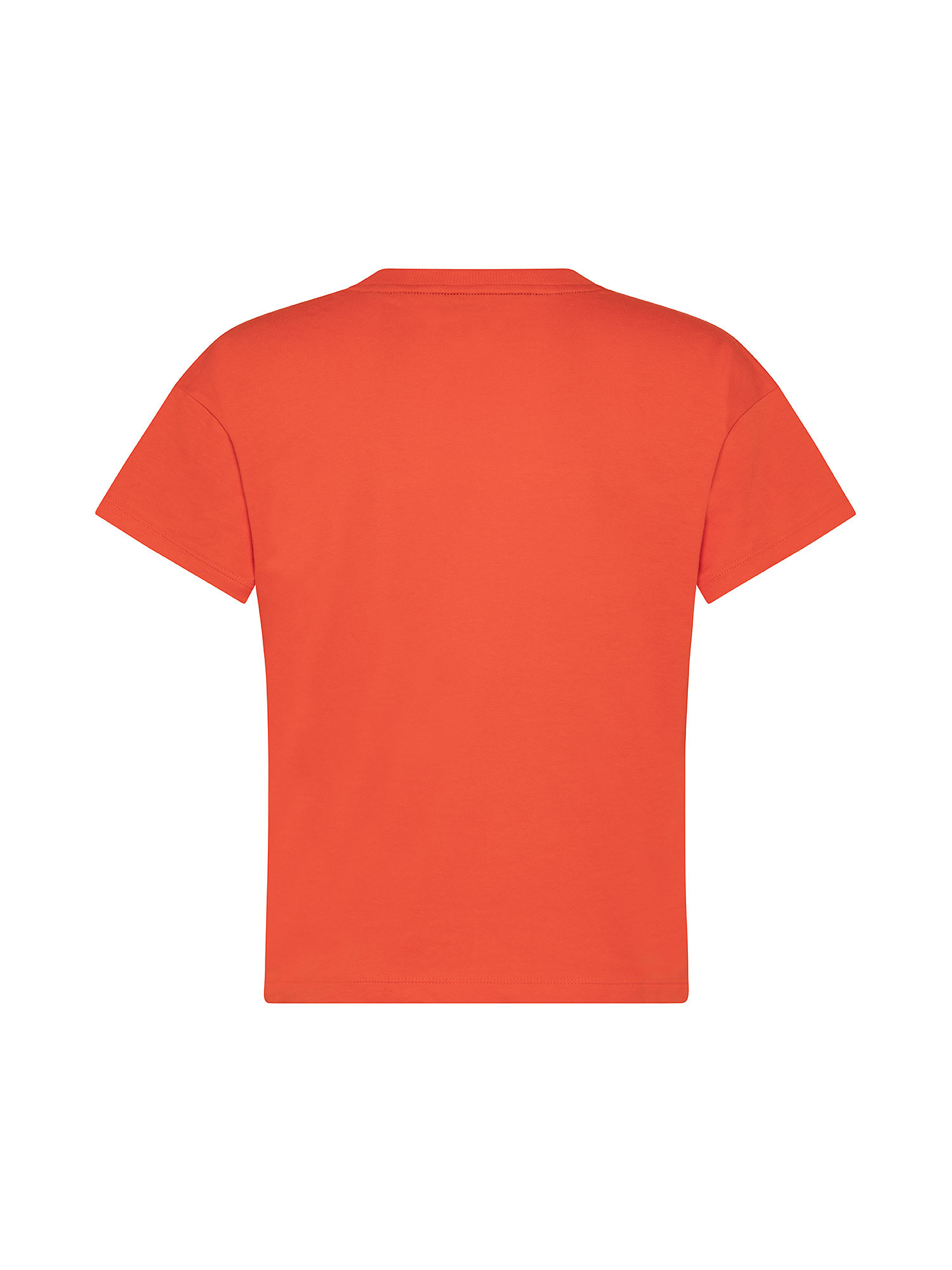 T-shirt boxy e corta "cropped" con logo striped, Arancione, large image number 1