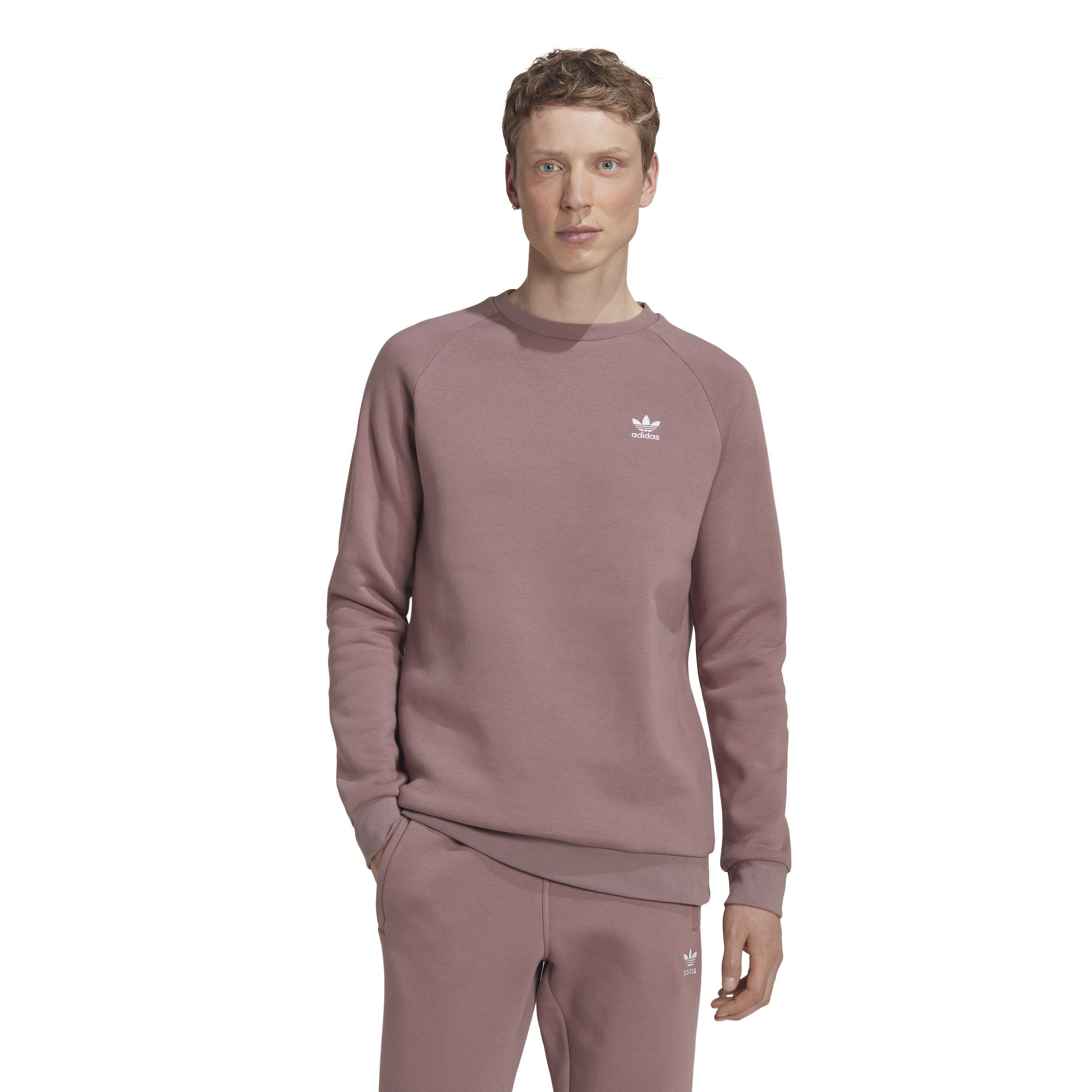 Adidas - Adicolor essentials trefoil crewneck sweatshirt, Antique Pink, large image number 1