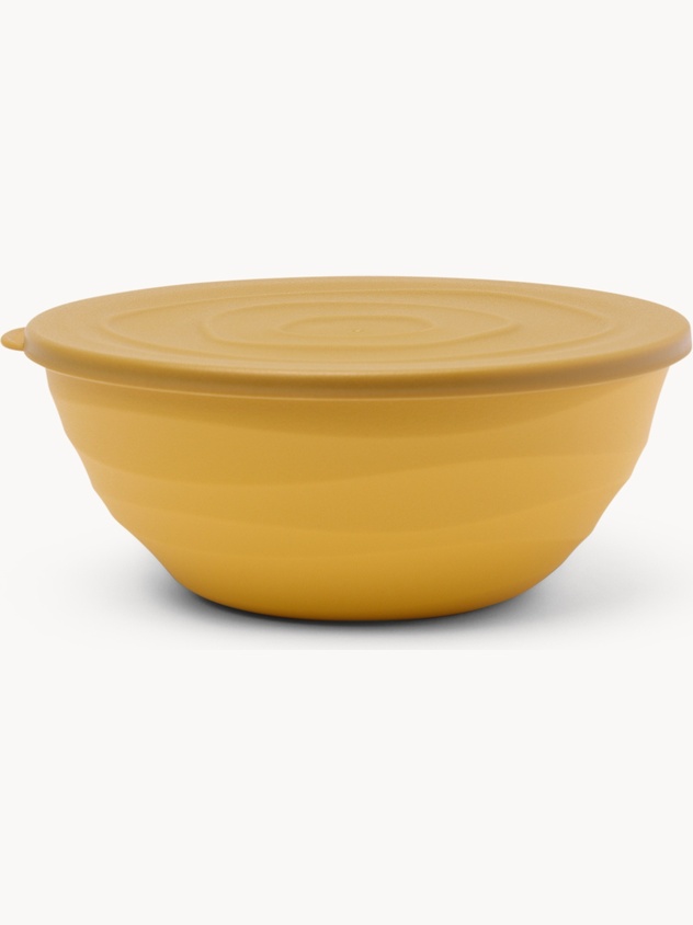 Plastic Bowl with Lid - Introductory Price