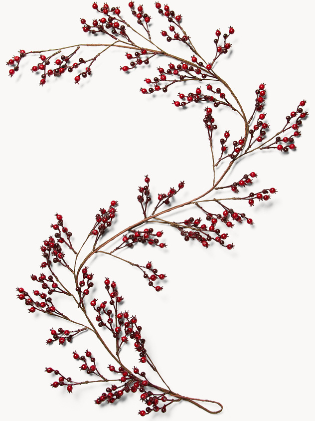 Ghirlanda con bacche rosse