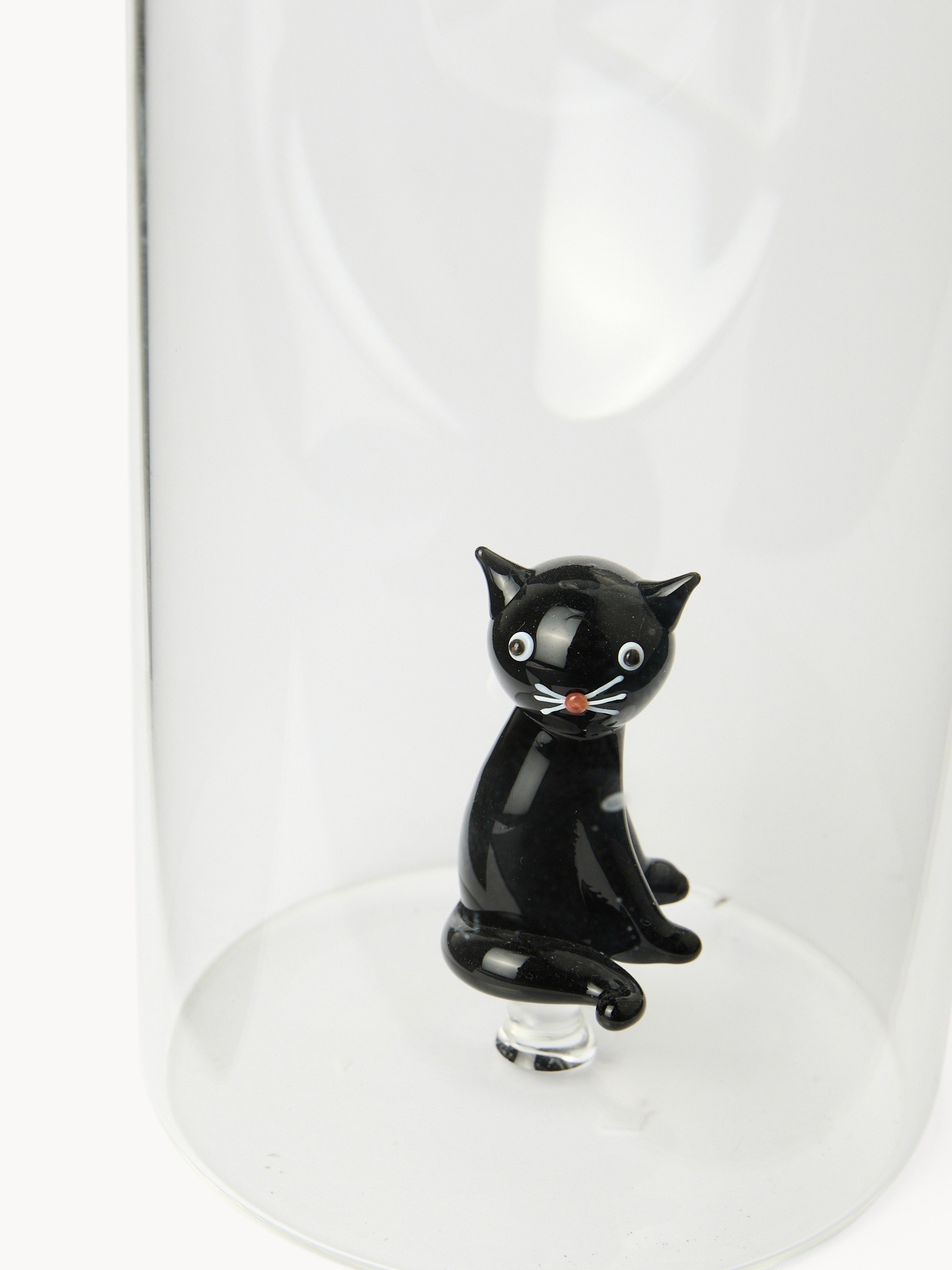 , Transparent, large image number 1