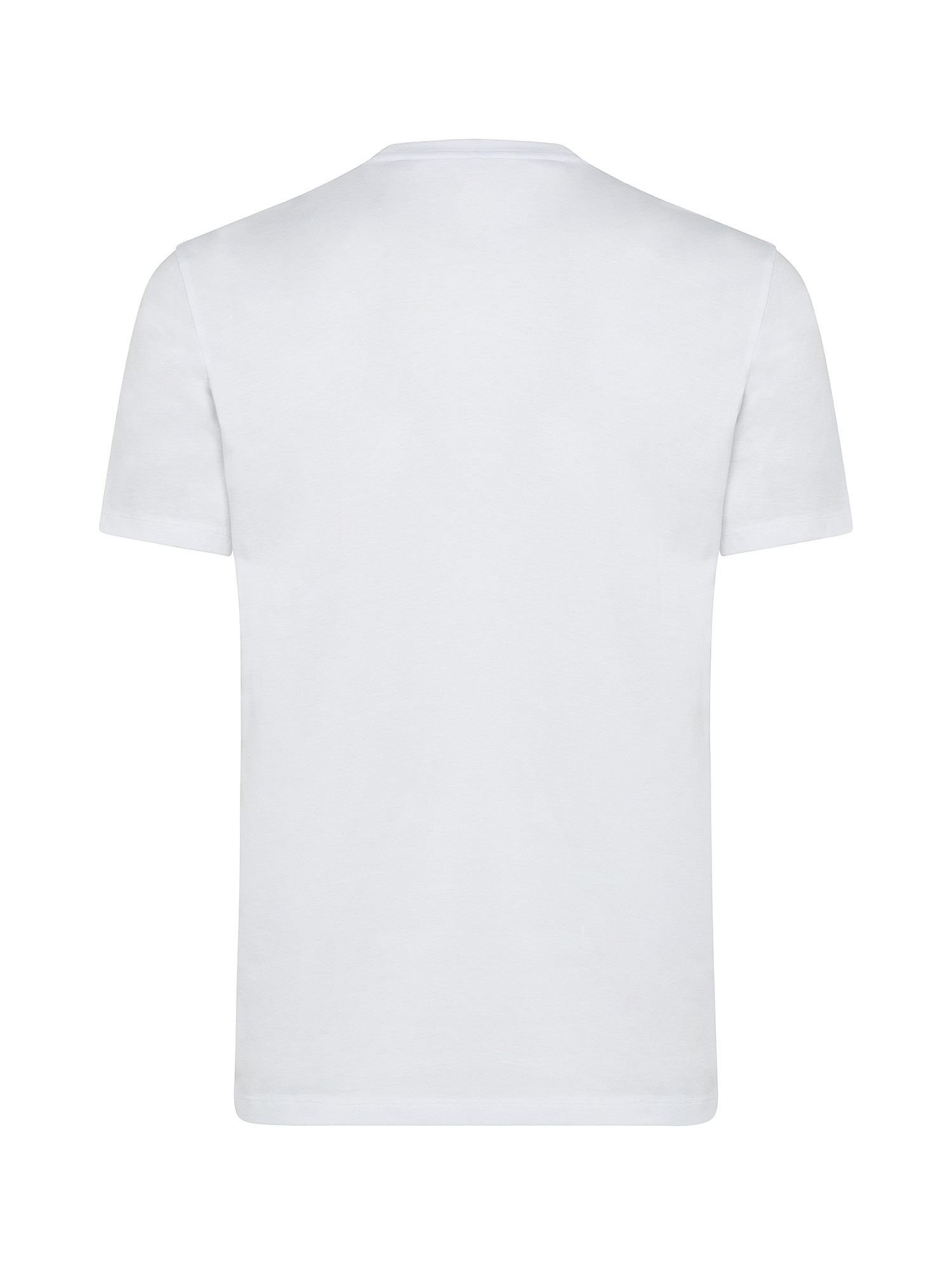 Armani Exchange - T-shirt regular fit in cotone con logo, Bianco, large image number 1