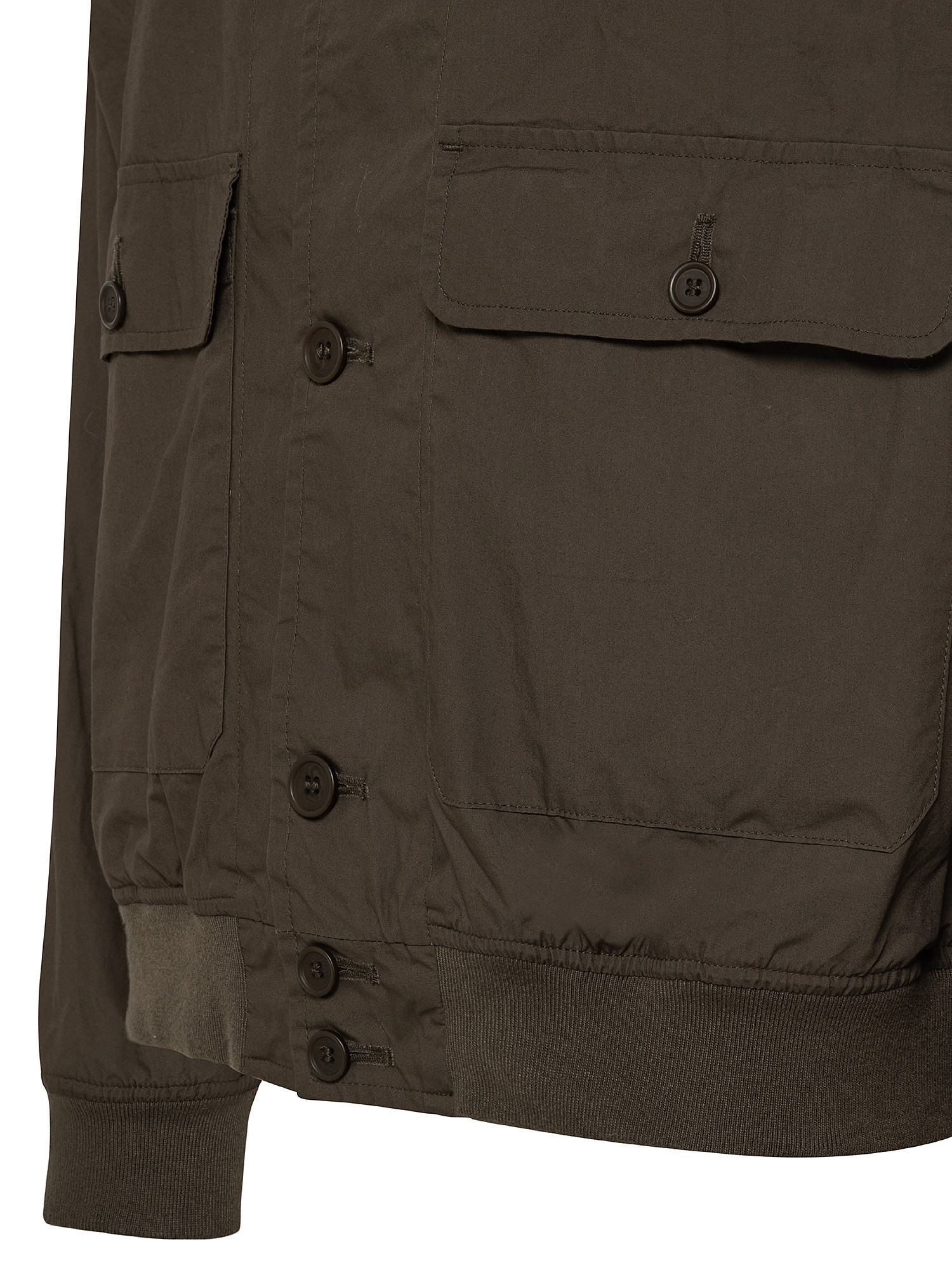 Solid color cotton jacket, Brown, large image number 2