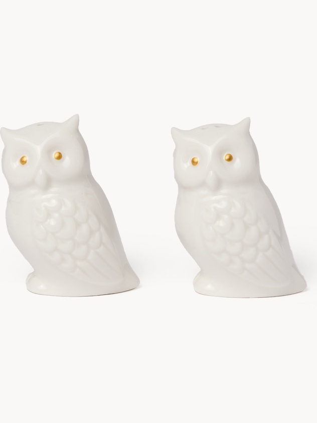 Set sale e pepe in ceramica a forma di gufo