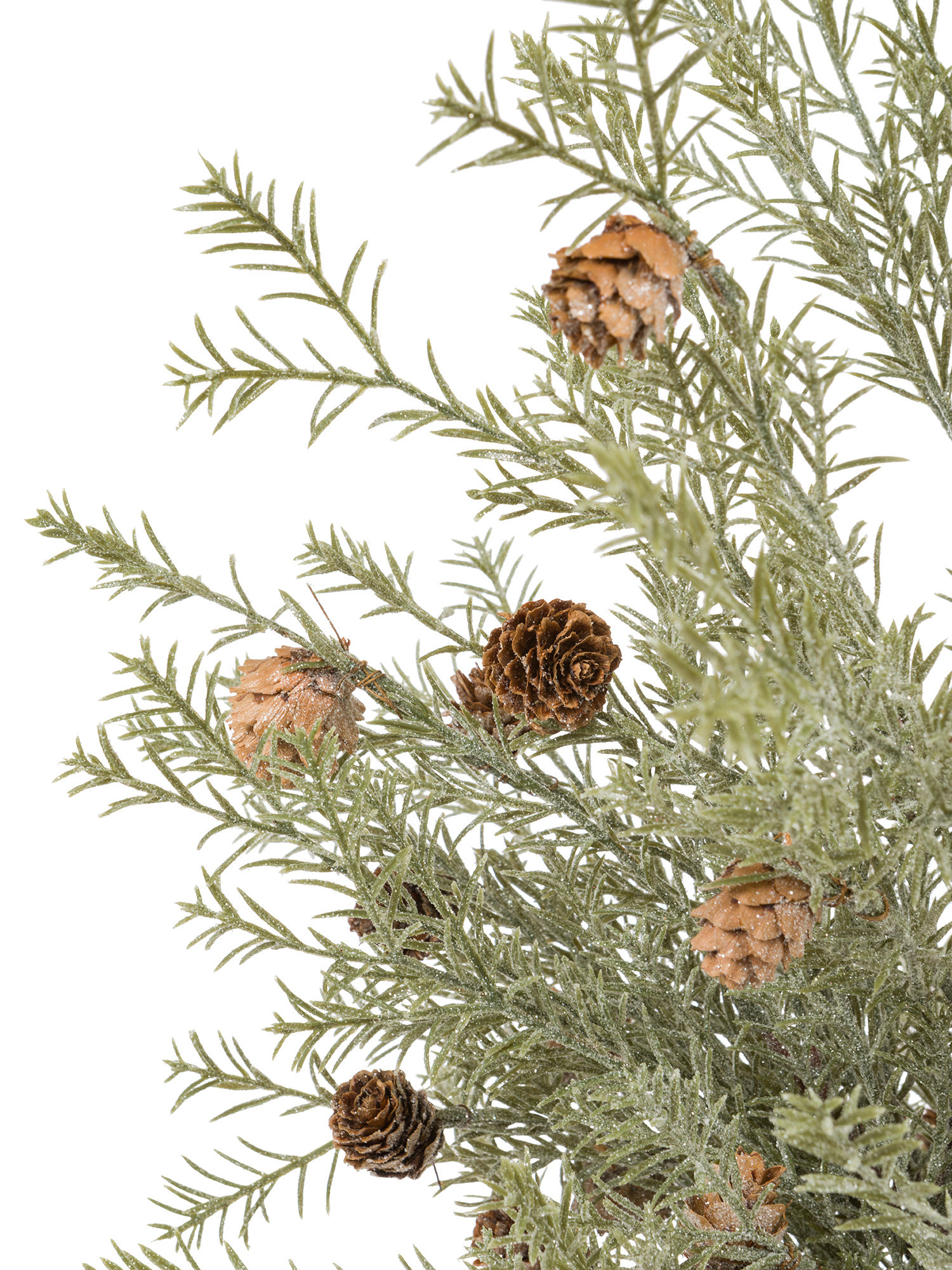 Small tree with pine cones with dew effect, Light Green, large image number 1