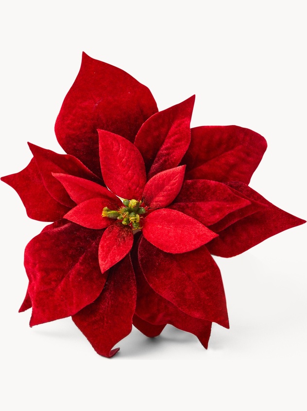 Christmas star decoration