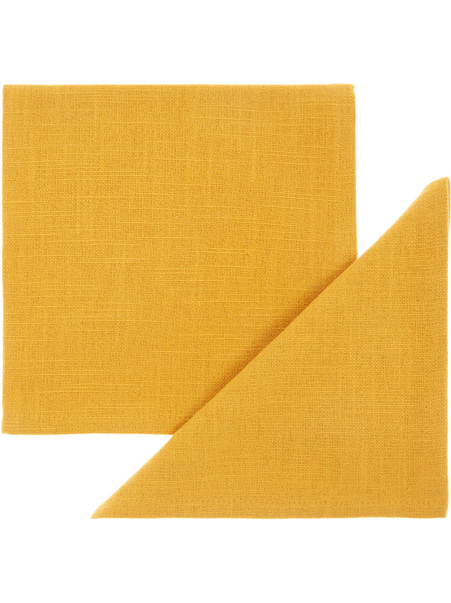 Set of 2 solid colour napkins in 100% iridescent cotton