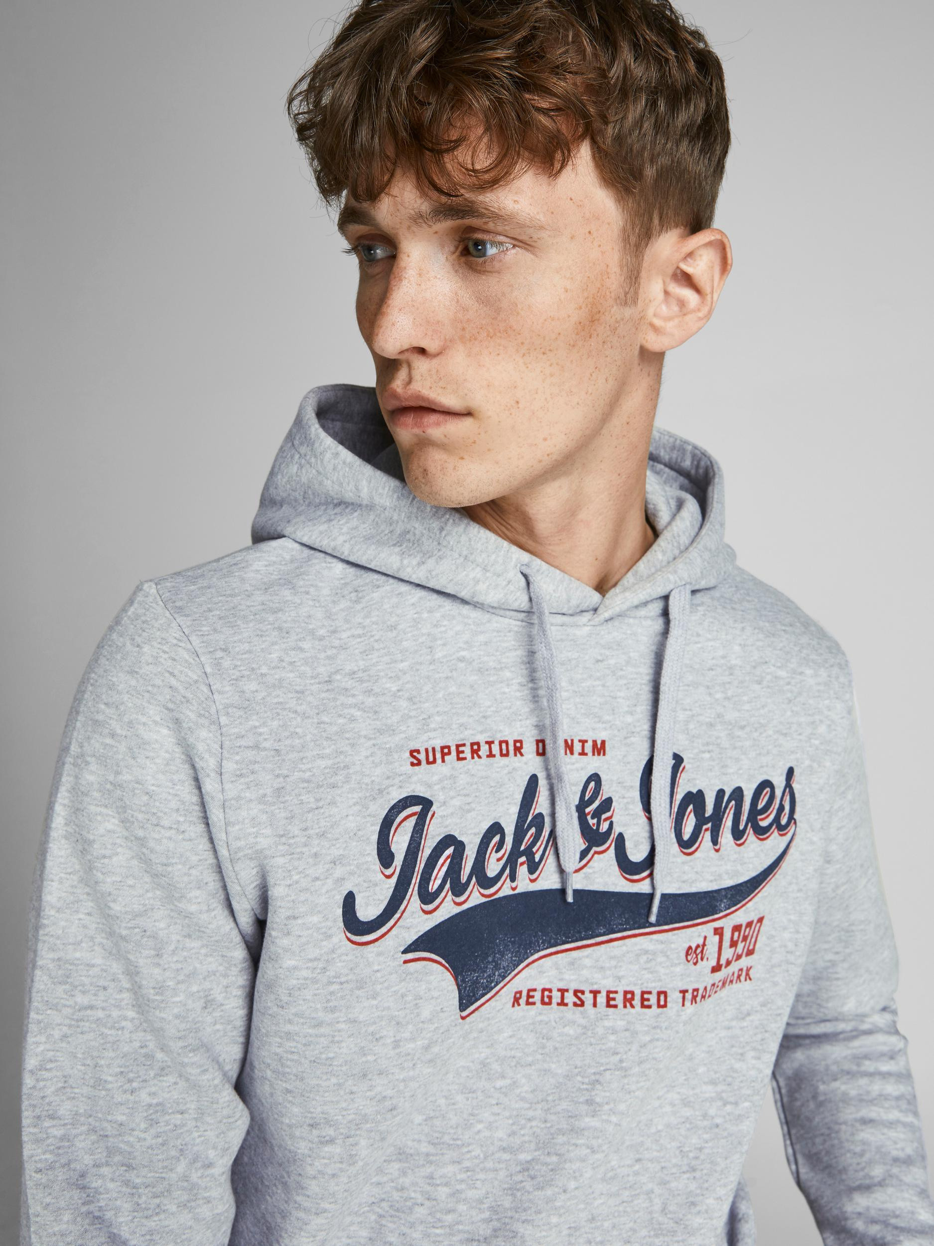 Men's hoodie, Grey, large image number 1
