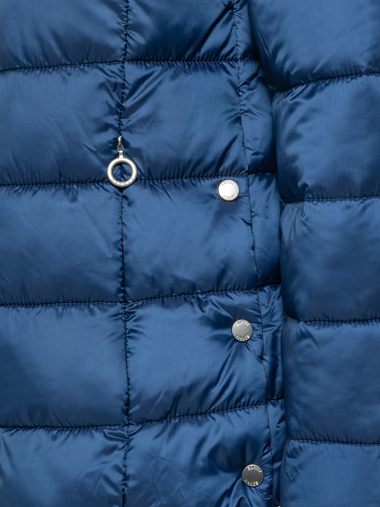 Quilted down jacket with 3M â„¢ Thinsulate â„¢ padding, Petroleum , large image number 2