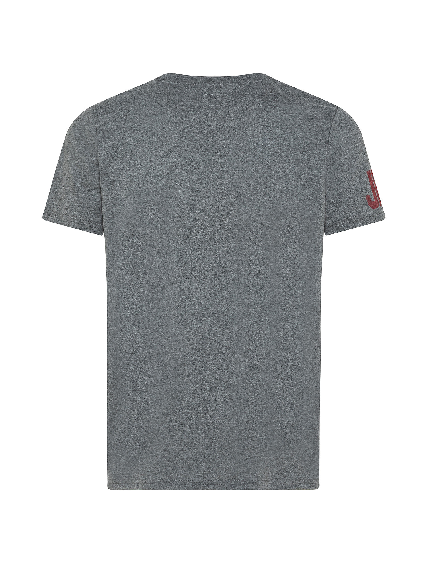 Classic t-shirt with vintage logo, Grey, large image number 1