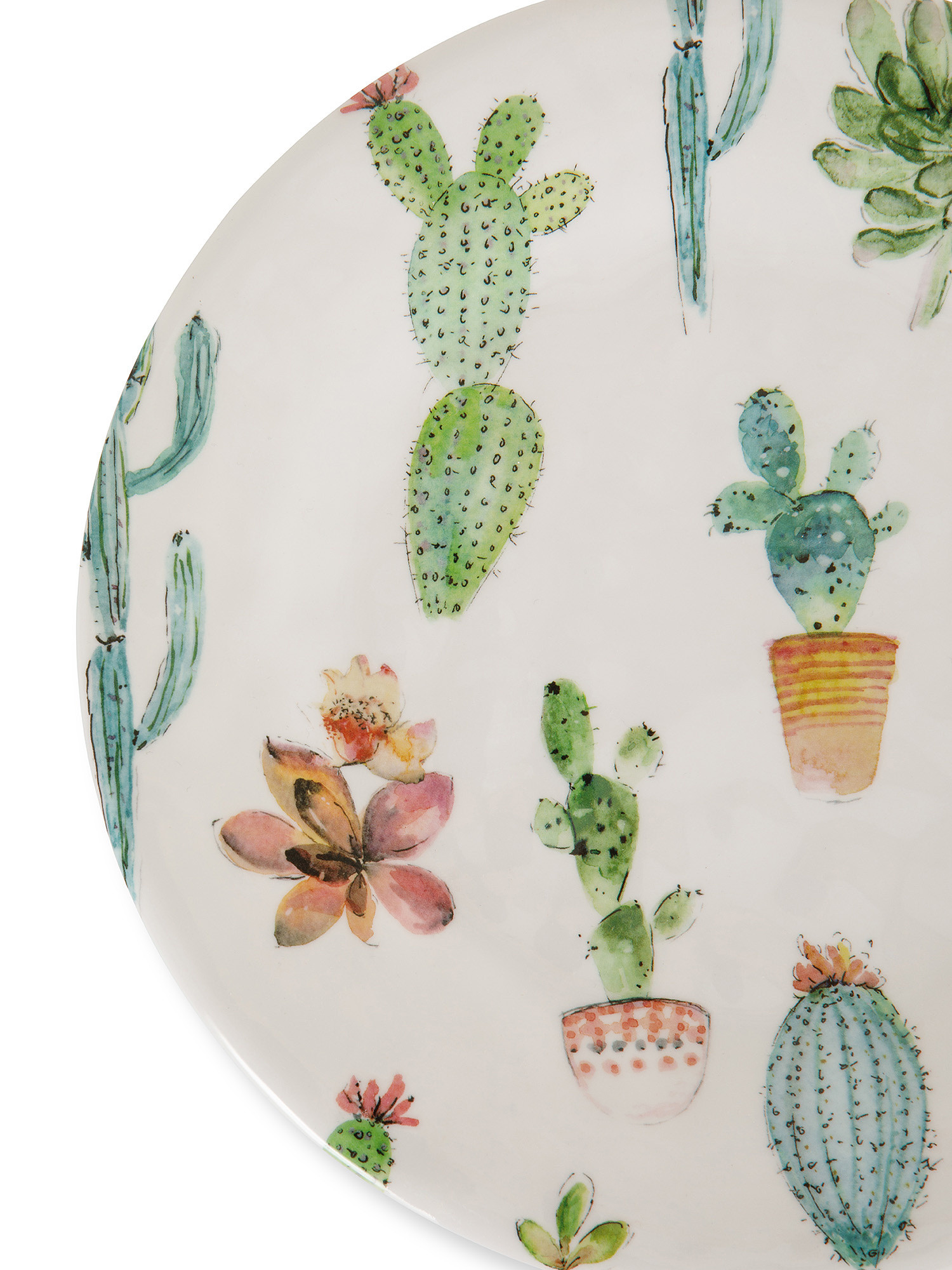 Melamine fruit plate with cactus motif, White, large image number 1