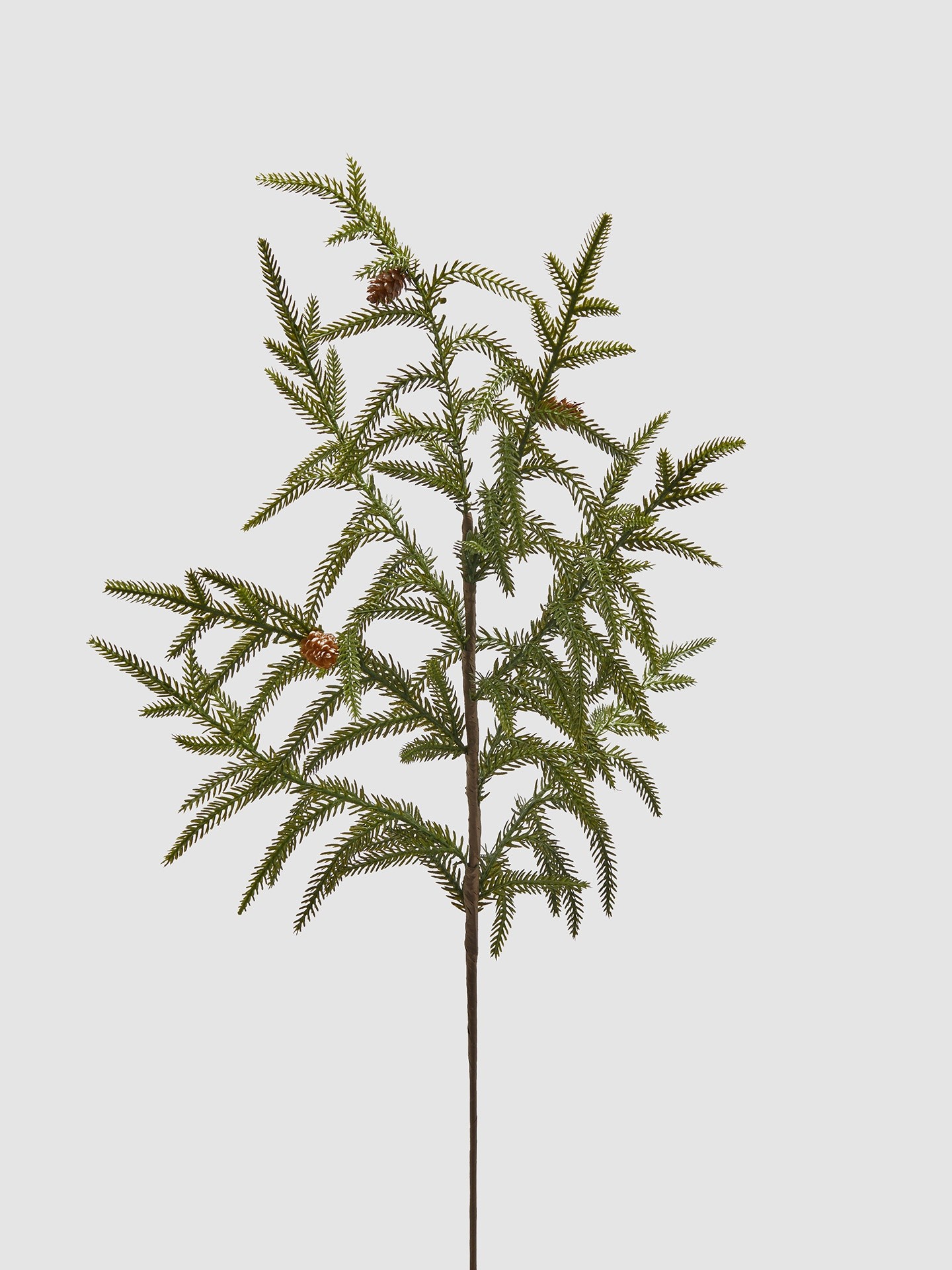 Cryptomeria branch, Green, large image number 0