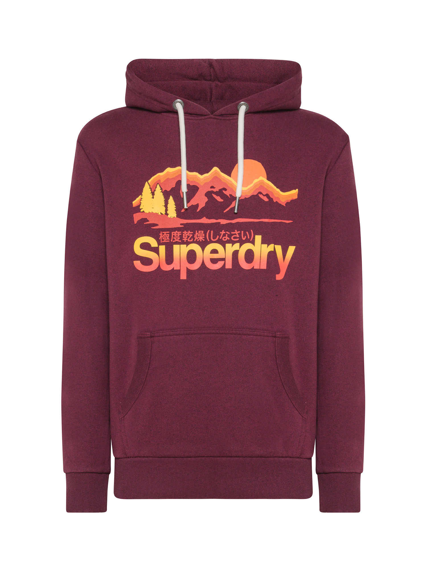 Superdry - Felpa con cappuccio e logo, Rosso bordeaux, large image number 0