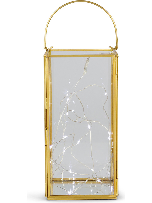 40 micro led wire with warm light