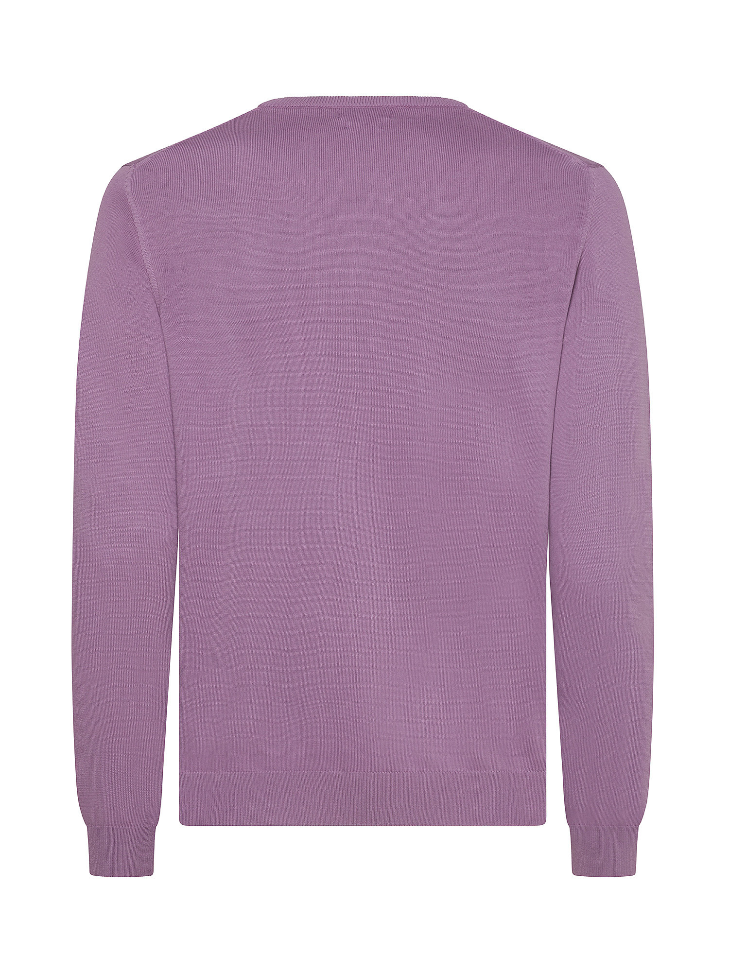 Luca D'Altieri - Crew neck sweater in extrafine pure cotton, Purple Lilac, large image number 1