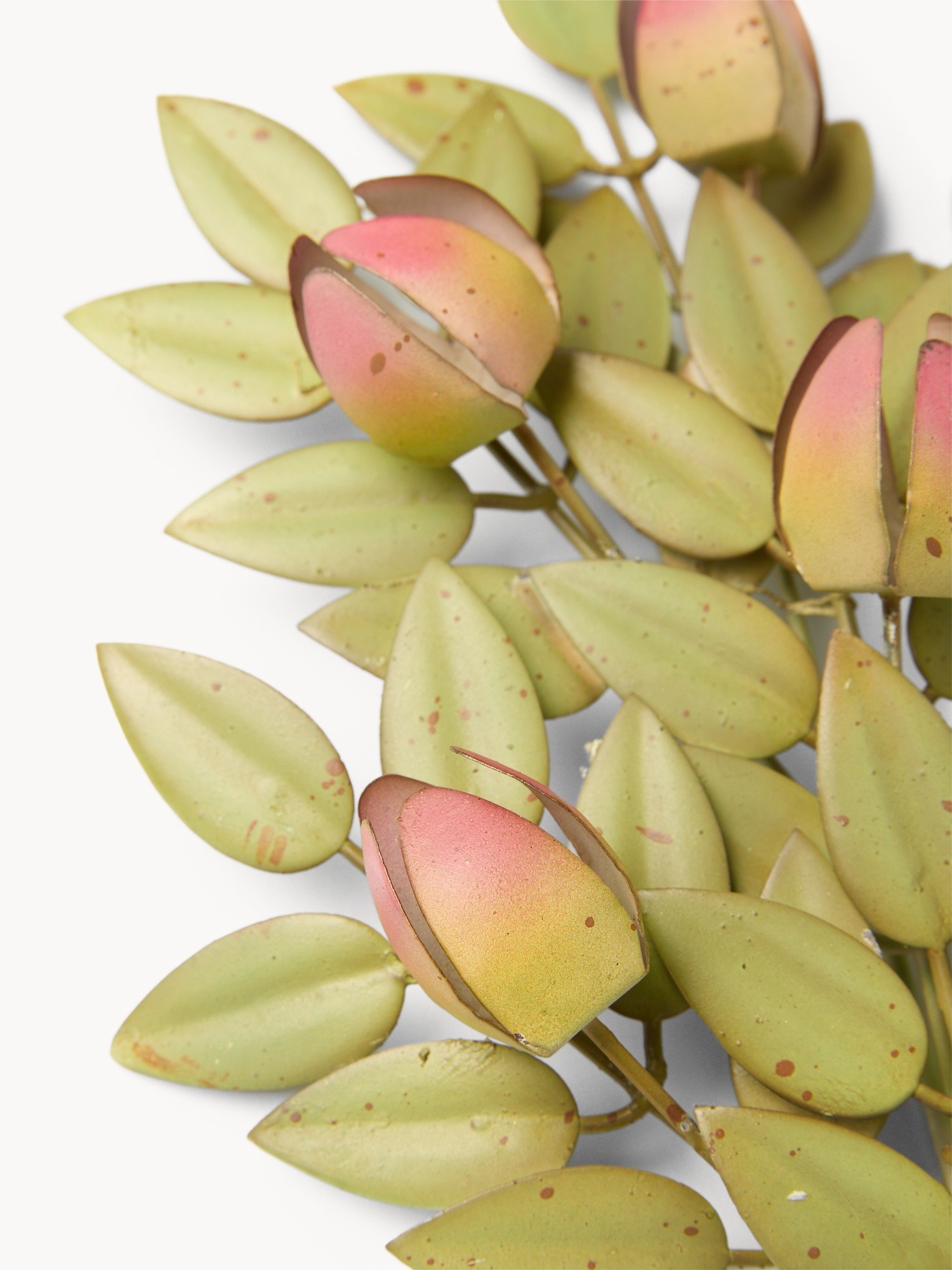 , Multicolor, large image number 1