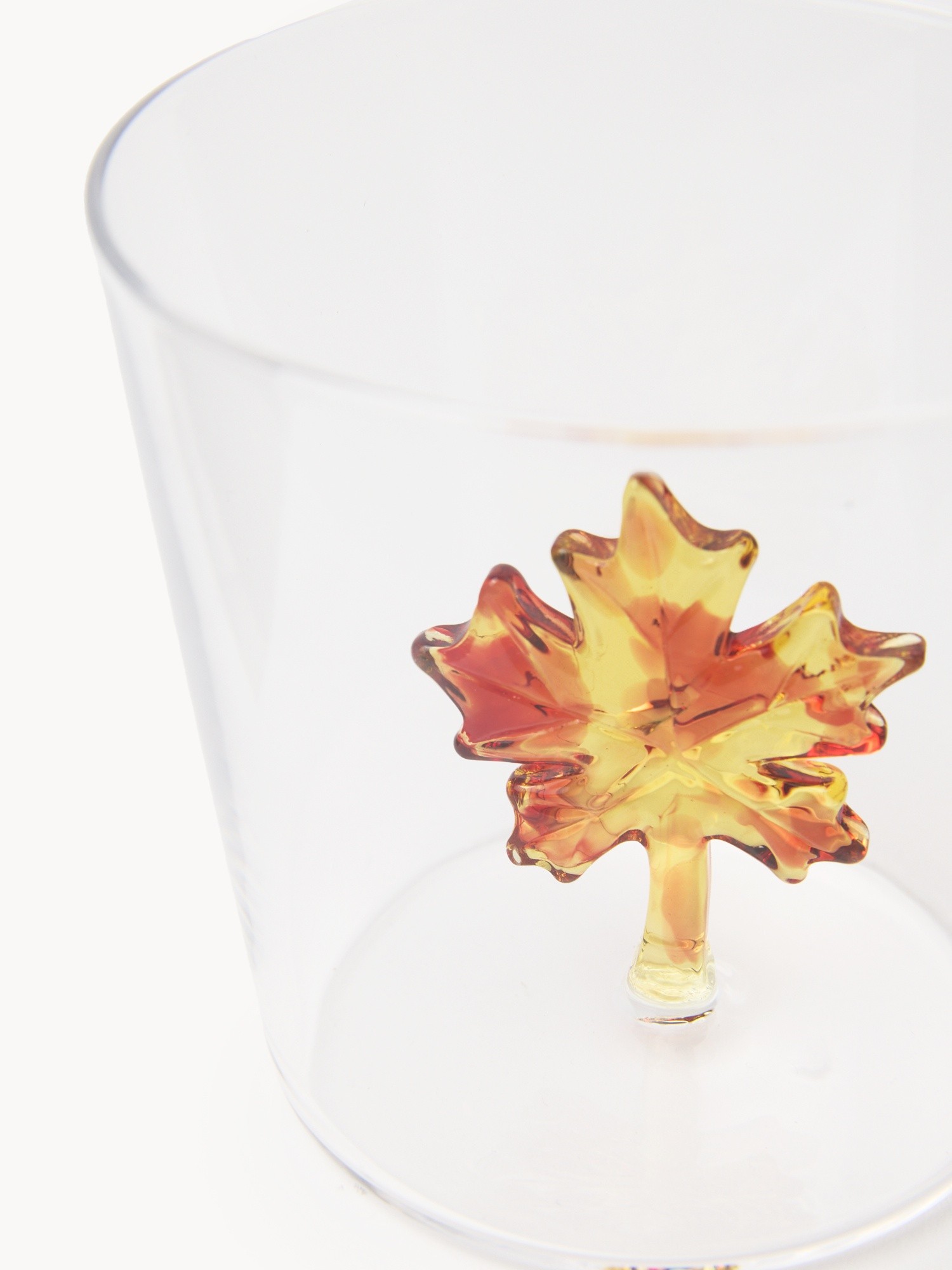 Borosilicate glass tumbler with autumn leaf detail, Transparent, large image number 1