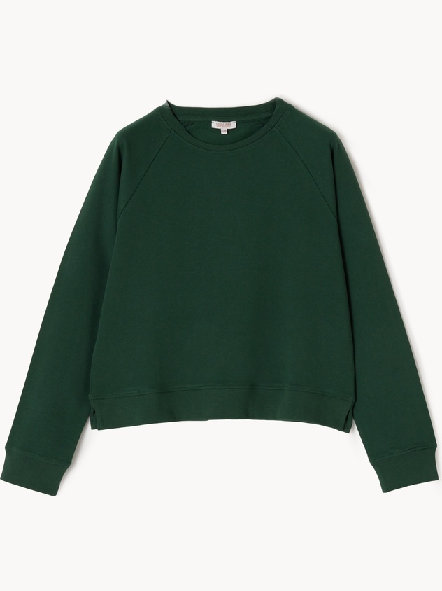 Solid-color brushed cotton sweatshirt