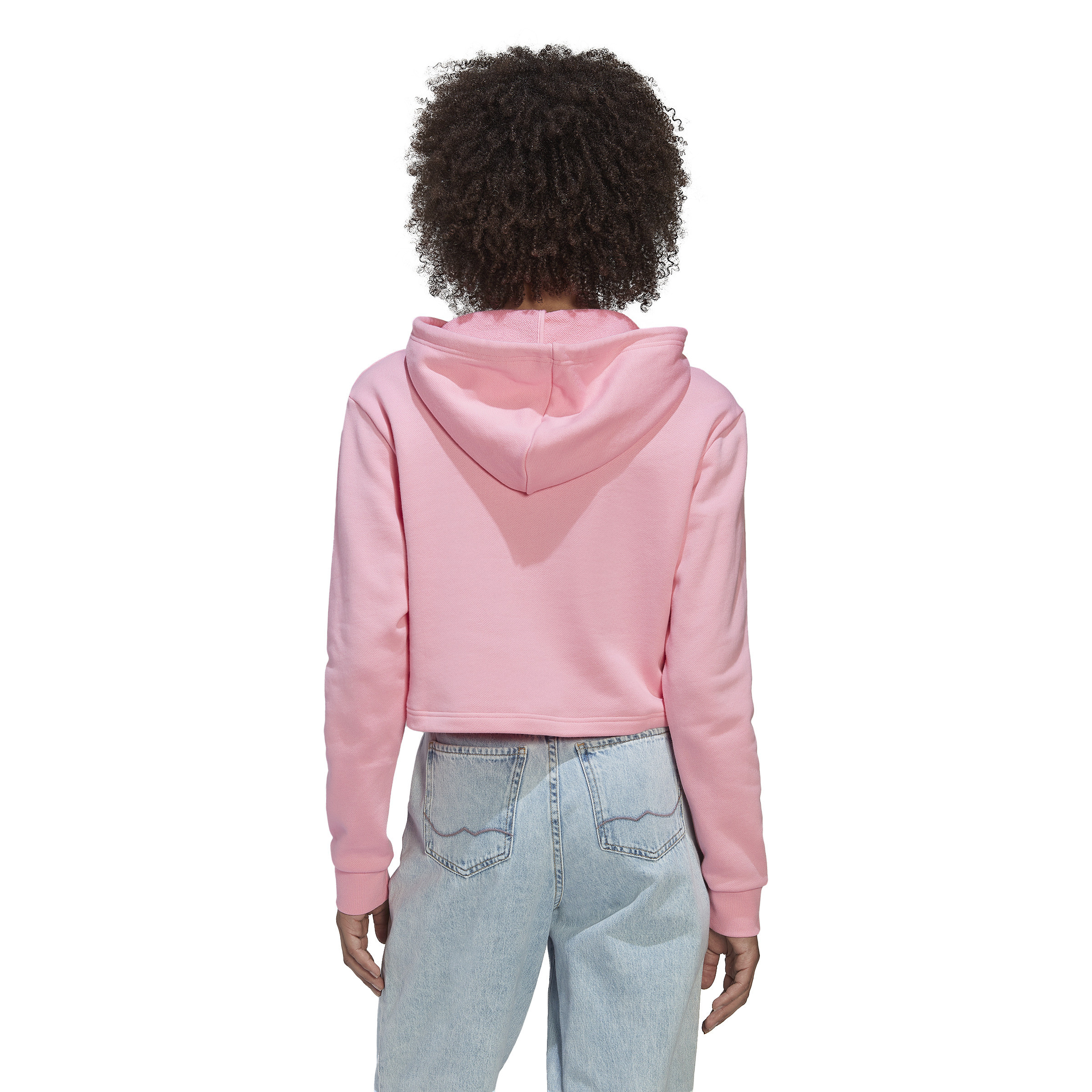 Adidas - Adicolor crop sweatshirt, Pink, large image number 5