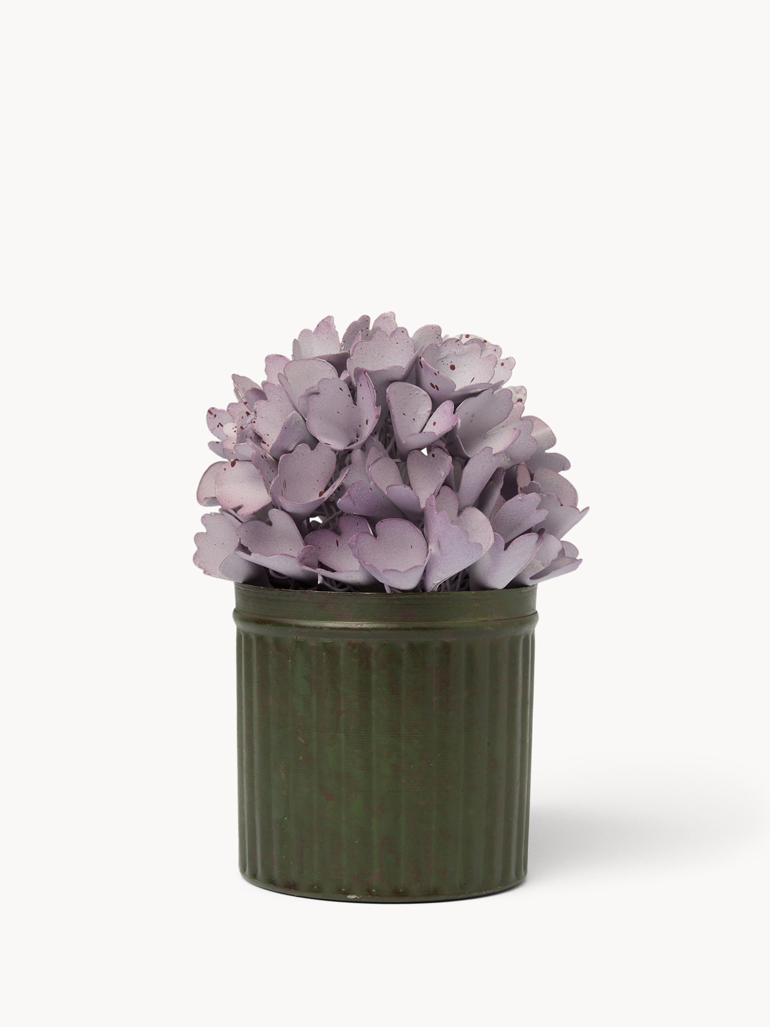 , Viola lilla, large image number 0