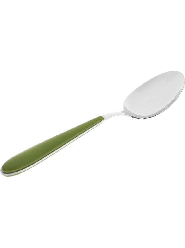 Stainless steel and plastic spoon
