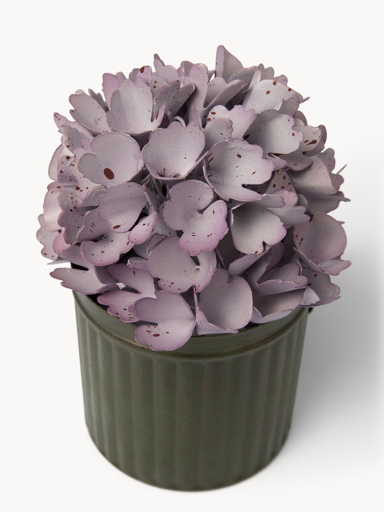 , Viola lilla, large image number 1