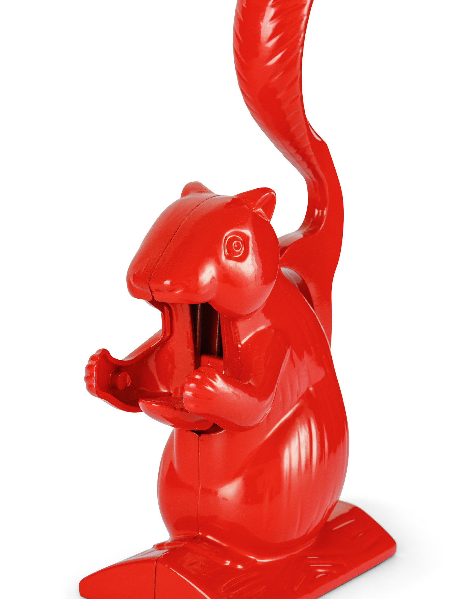 Squirrel nutcracker, Red, large image number 1