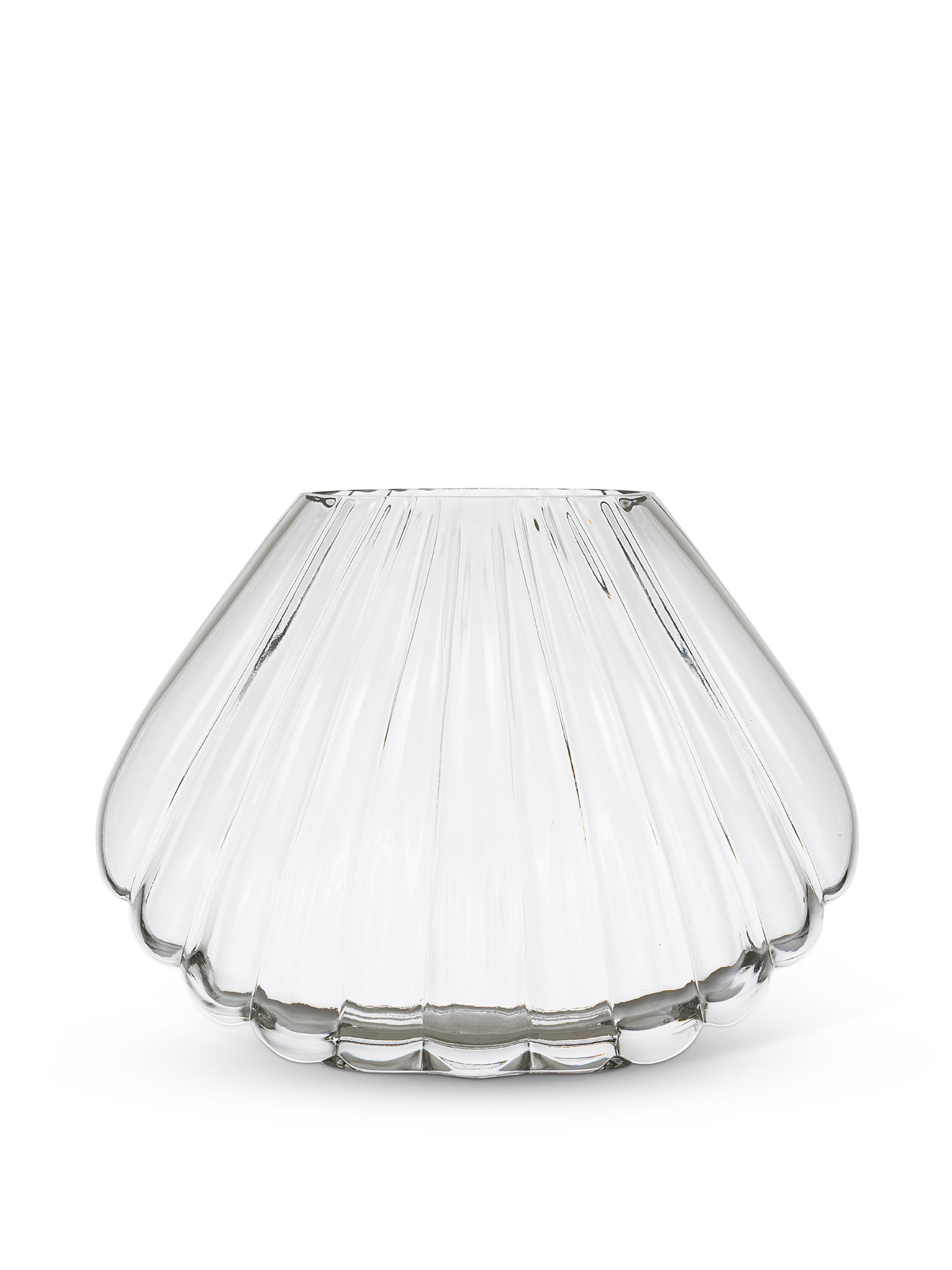 Shell glass vase, Transparent, large image number 0