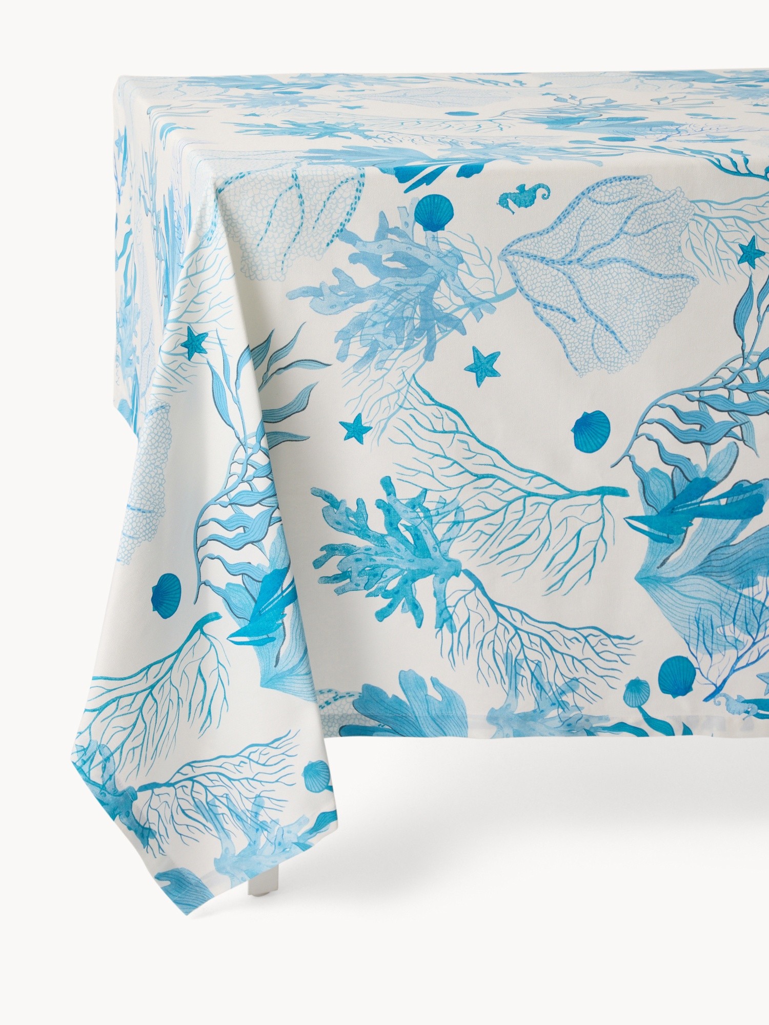 , White / Blue, large image number 0