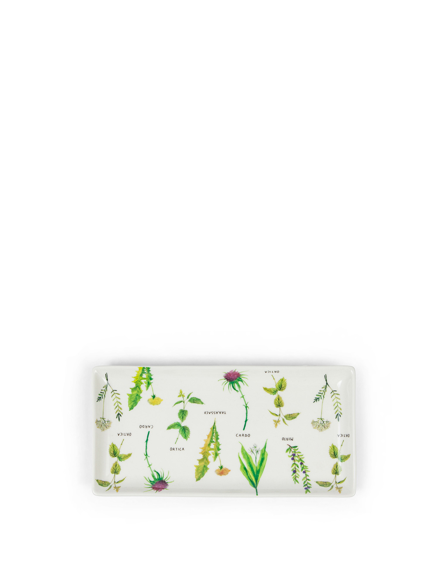 New bone china saucer with botanical motif, White, large image number 0