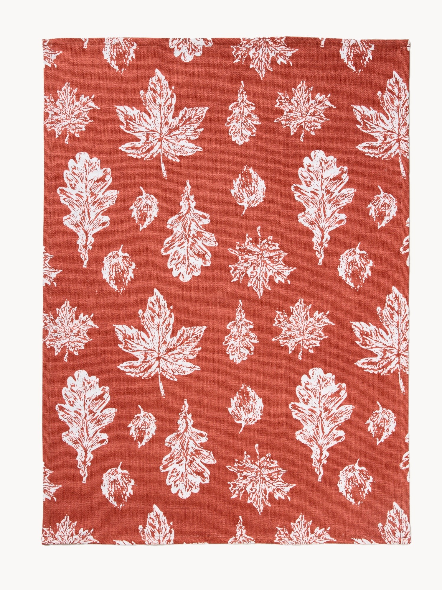 Set of 3 pure cotton jacquard dishcloths, Multicolor, large image number 2